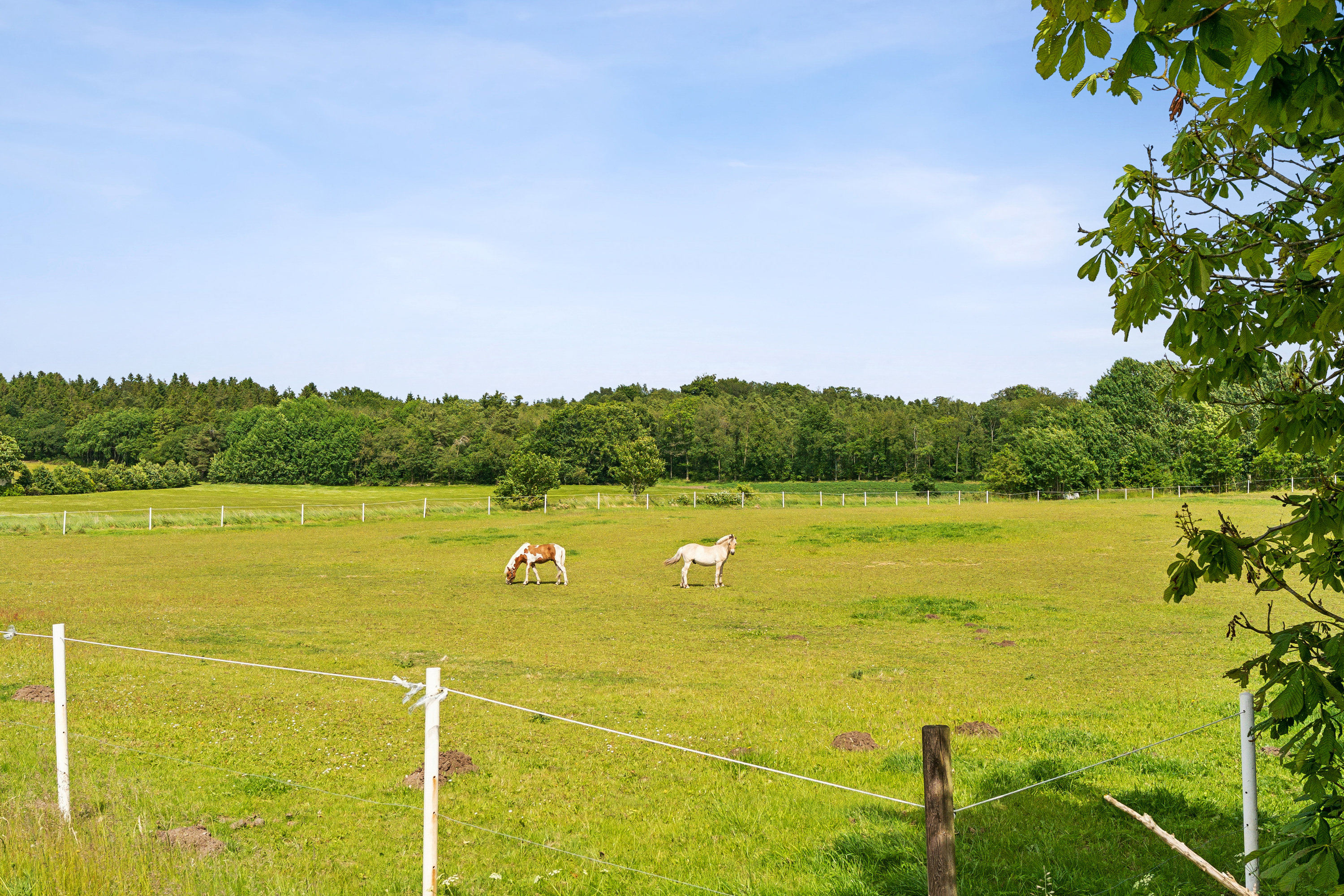Miniaturebillede 2: have. Billede af Bavnehøjvej 19, Vorning, 8830 Tjele