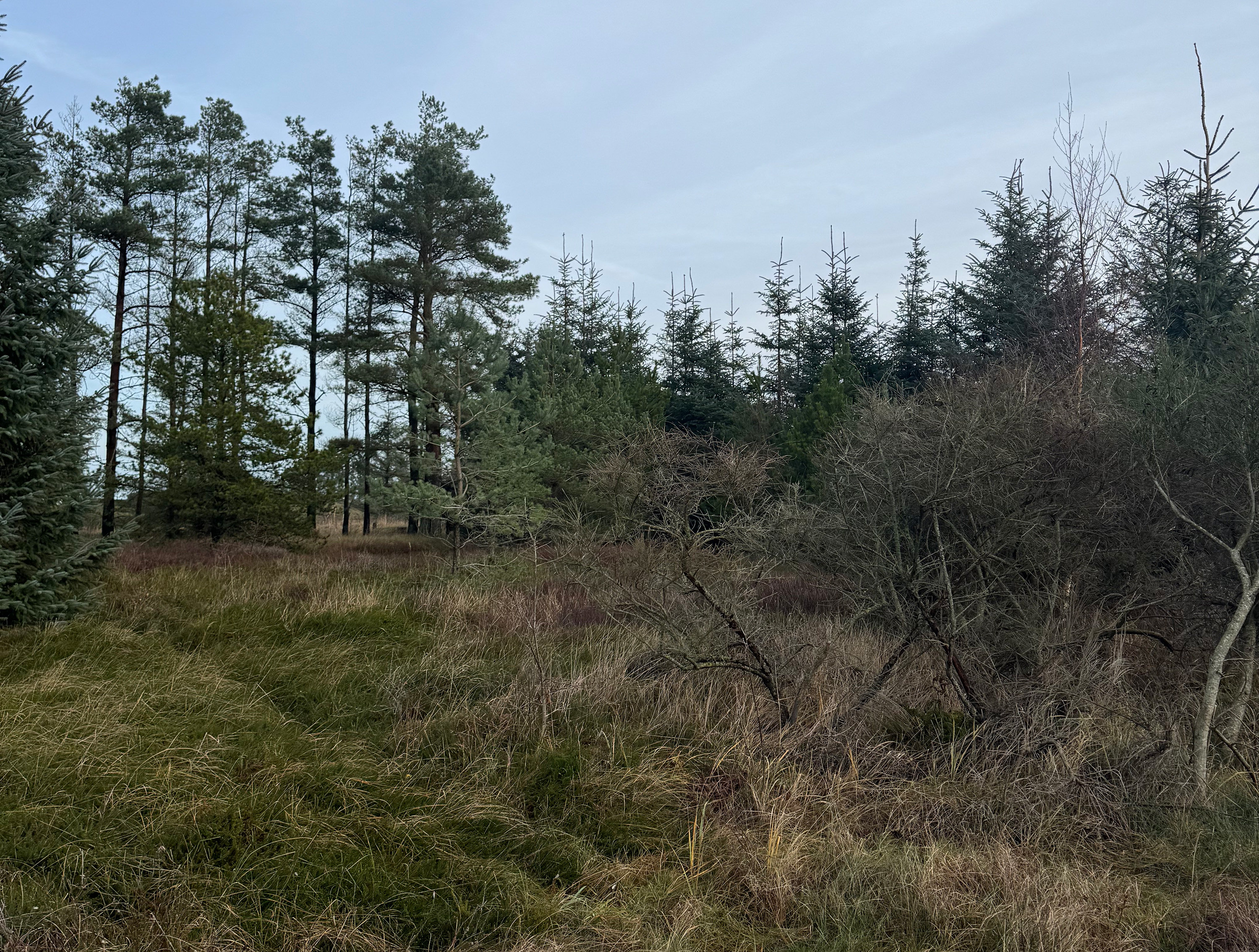 Miniaturebillede 2: . Billede af Blåbærstien 4, Thorupstrand, 9690 Fjerritslev