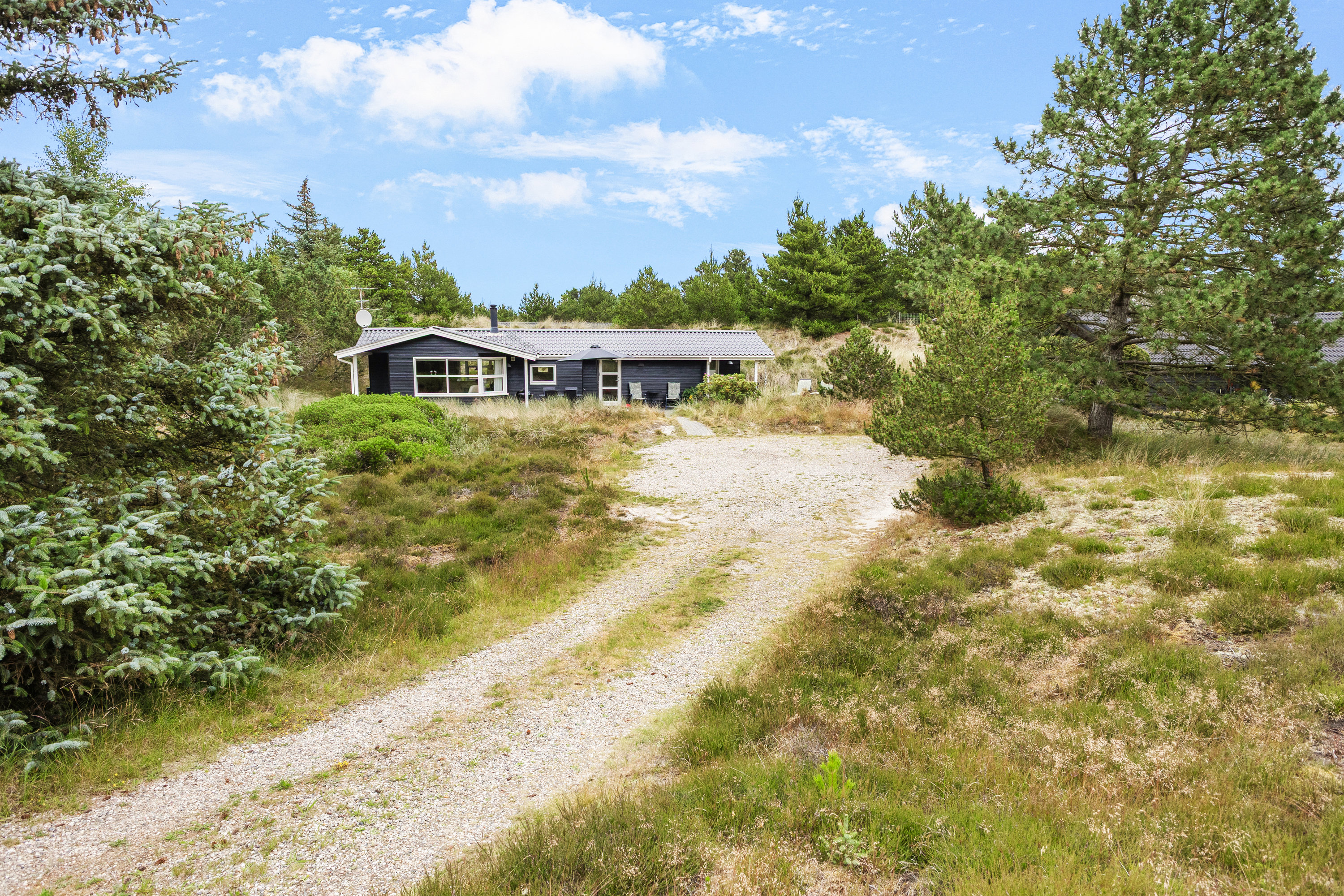 Fremhævet  billede i fuldskærmstilstand. Billede af Søren Gades Mark 13A, 6857 Blåvand