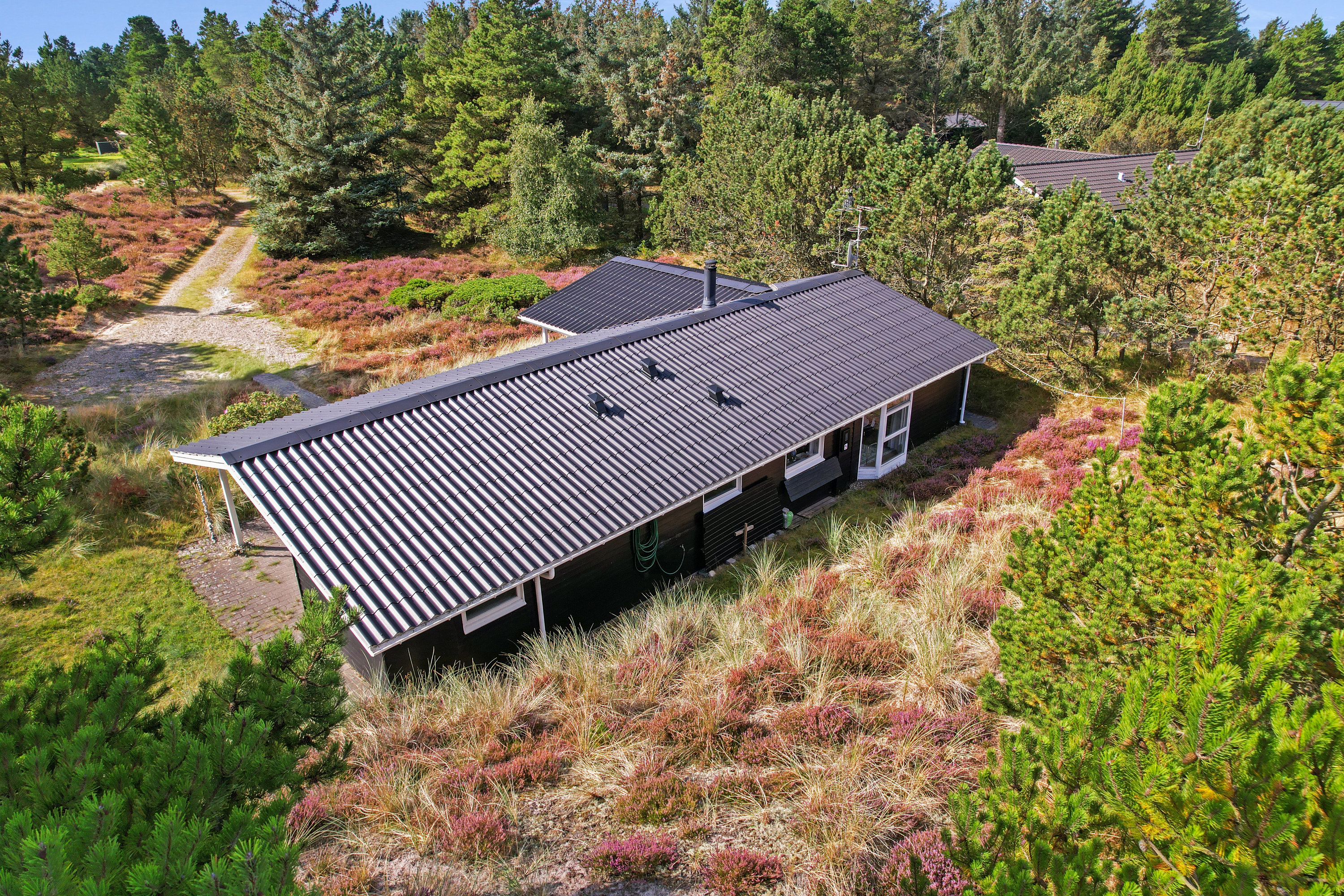 Fremhævet  billede i fuldskærmstilstand. Billede af Søren Gades Mark 13A, 6857 Blåvand