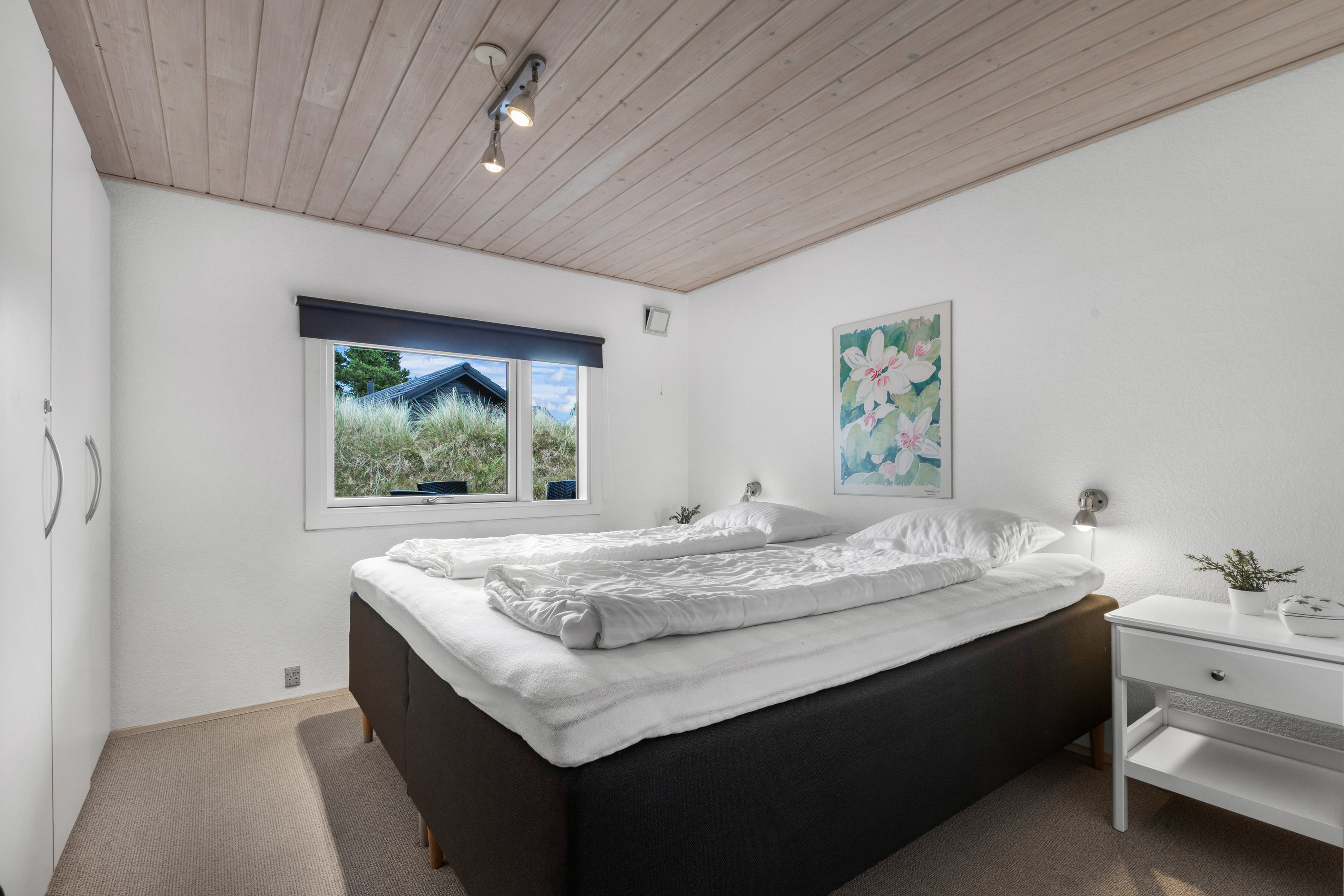 Fremhævet  billede i fuldskærmstilstand. Billede af Søren Gades Mark 13A, 6857 Blåvand