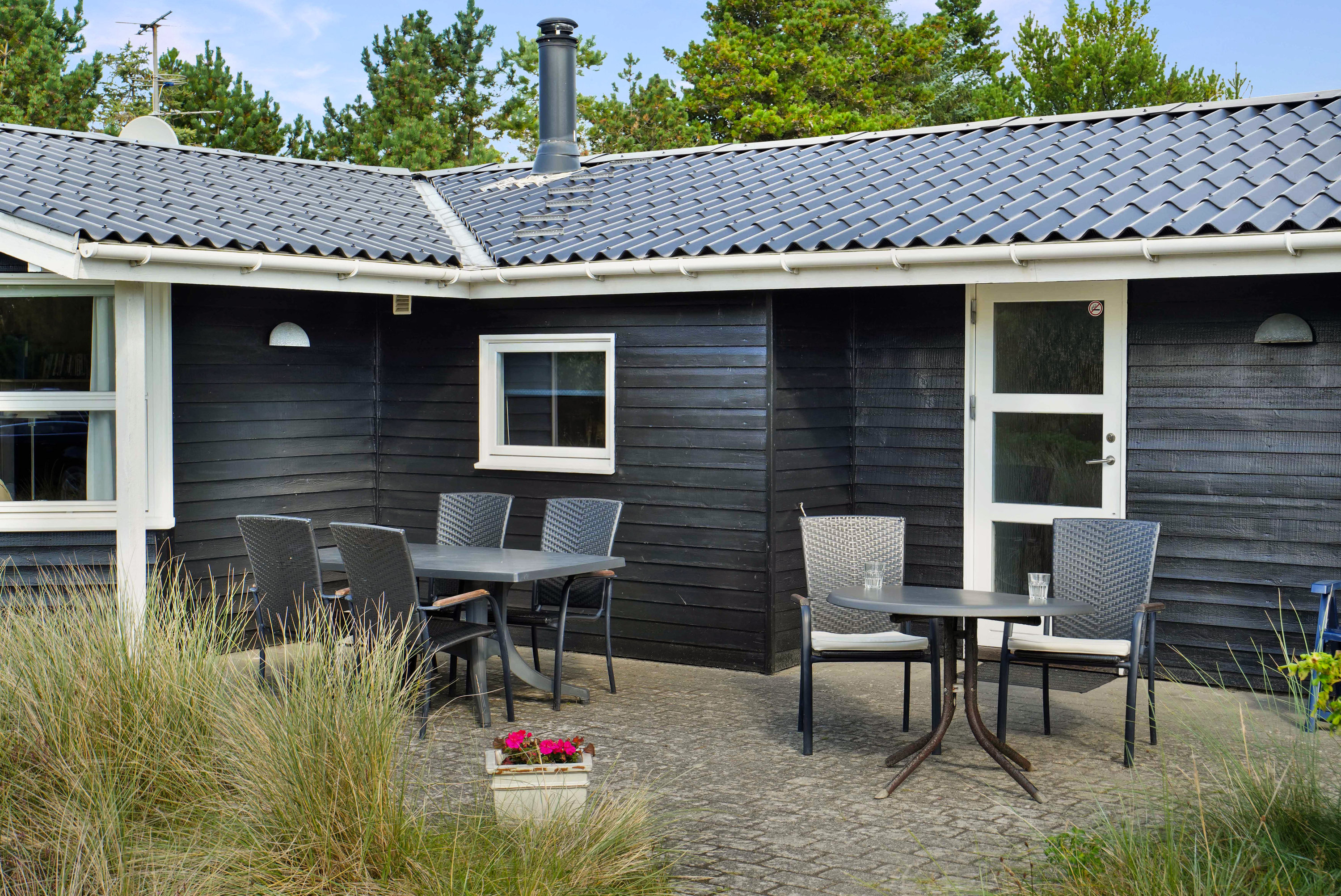 Fremhævet  billede i fuldskærmstilstand. Billede af Søren Gades Mark 13A, 6857 Blåvand