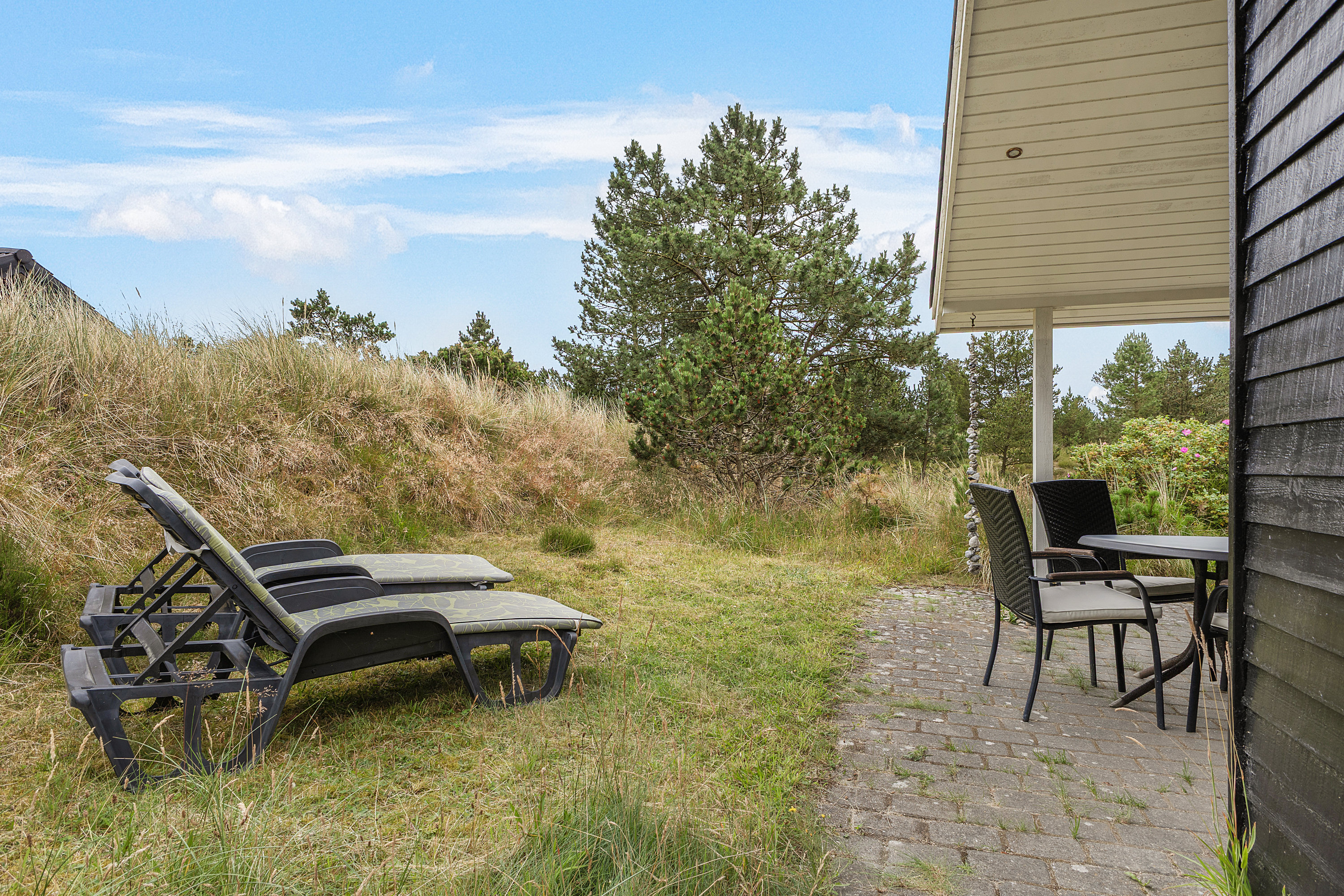 Fremhævet  billede i fuldskærmstilstand. Billede af Søren Gades Mark 13A, 6857 Blåvand