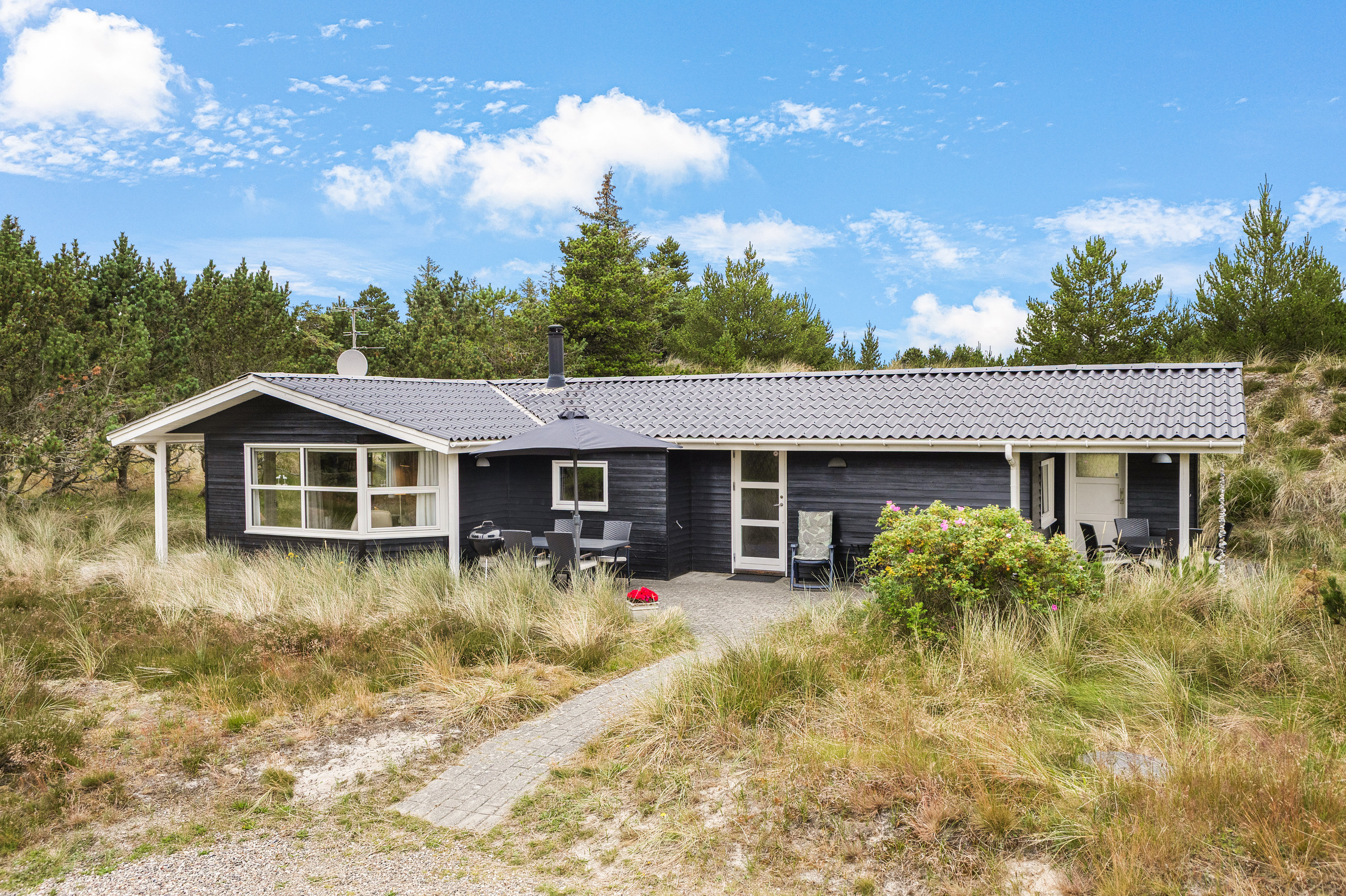 Fremhævet  billede i fuldskærmstilstand. Billede af Søren Gades Mark 13A, 6857 Blåvand