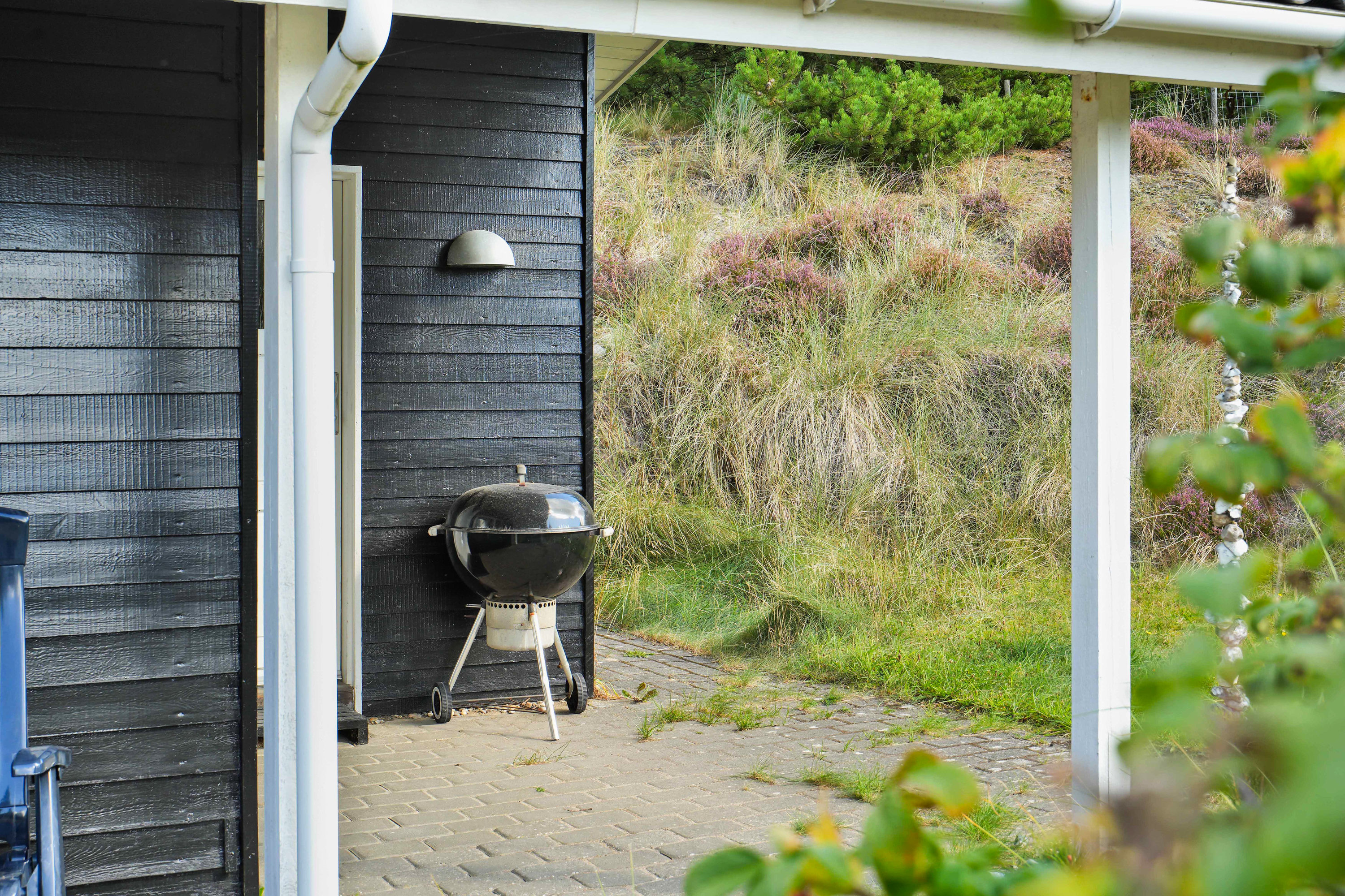 Fremhævet  billede i fuldskærmstilstand. Billede af Søren Gades Mark 13A, 6857 Blåvand