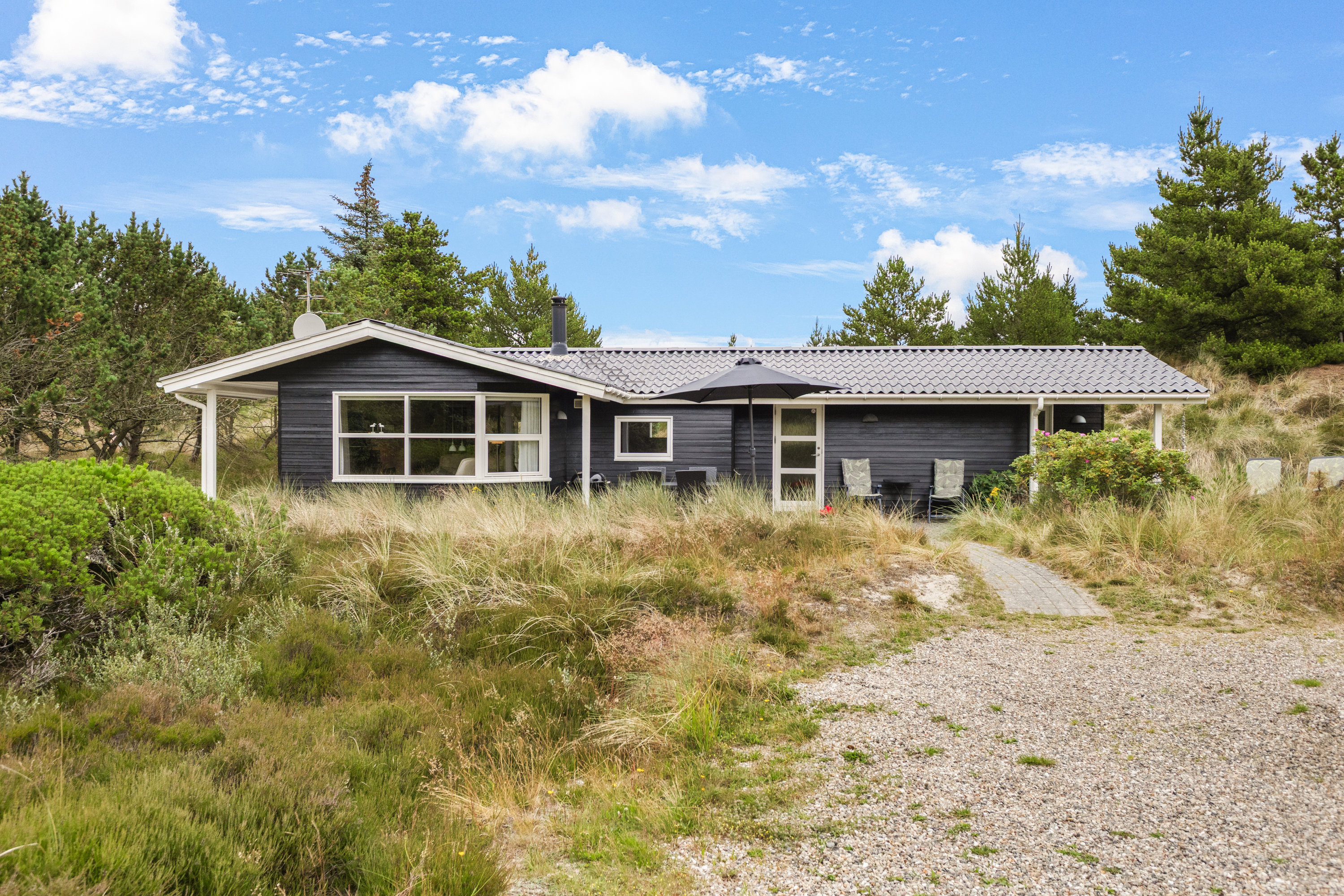 Fremhævet  billede i fuldskærmstilstand. Billede af Søren Gades Mark 13A, 6857 Blåvand