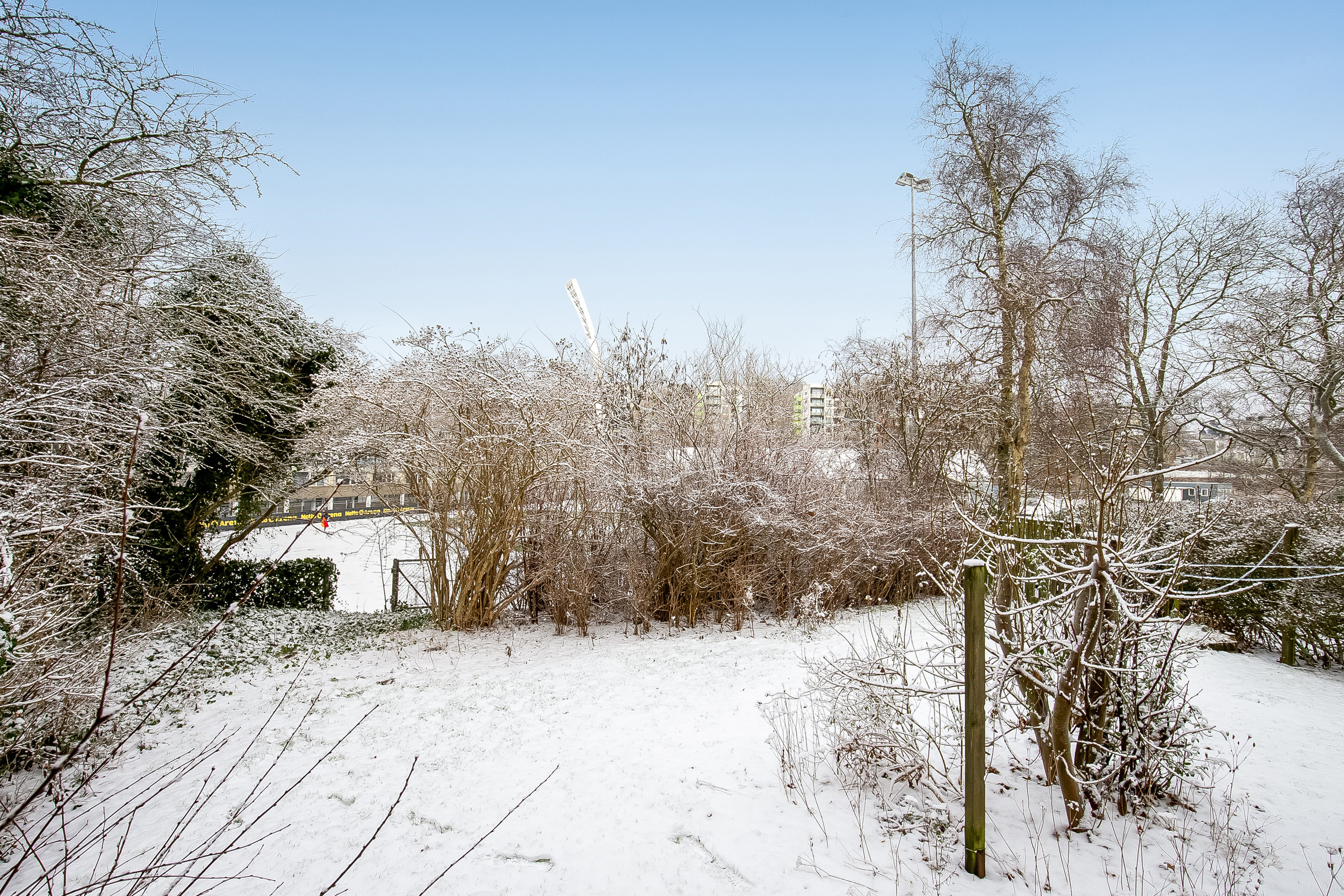 Fremhævet have billede i fuldskærmstilstand. Billede af Marcus Alle 28, 6000 Kolding