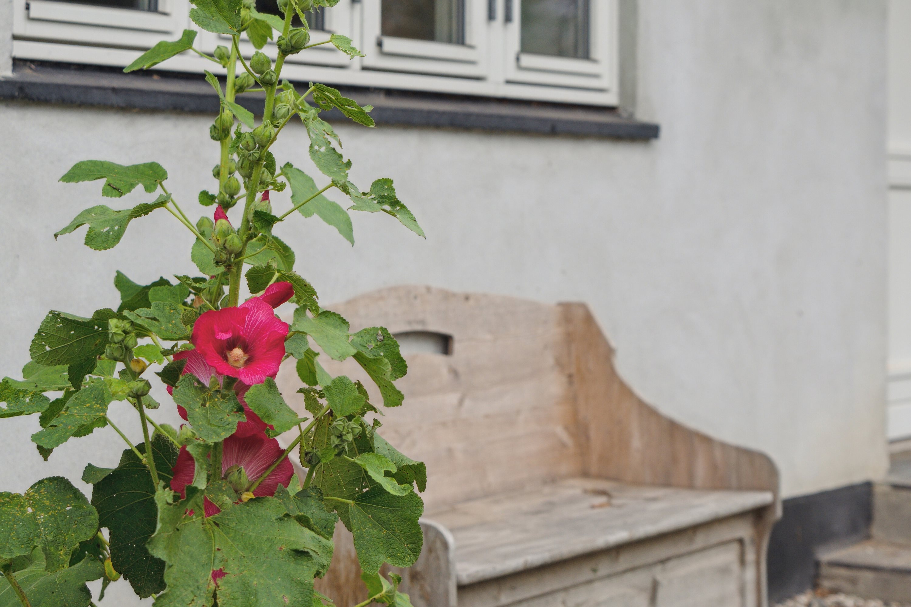 Fremhævet udendørs billede i fuldskærmstilstand. Billede af Nielstrupstræde 3, Nielstrup, 4690 Haslev