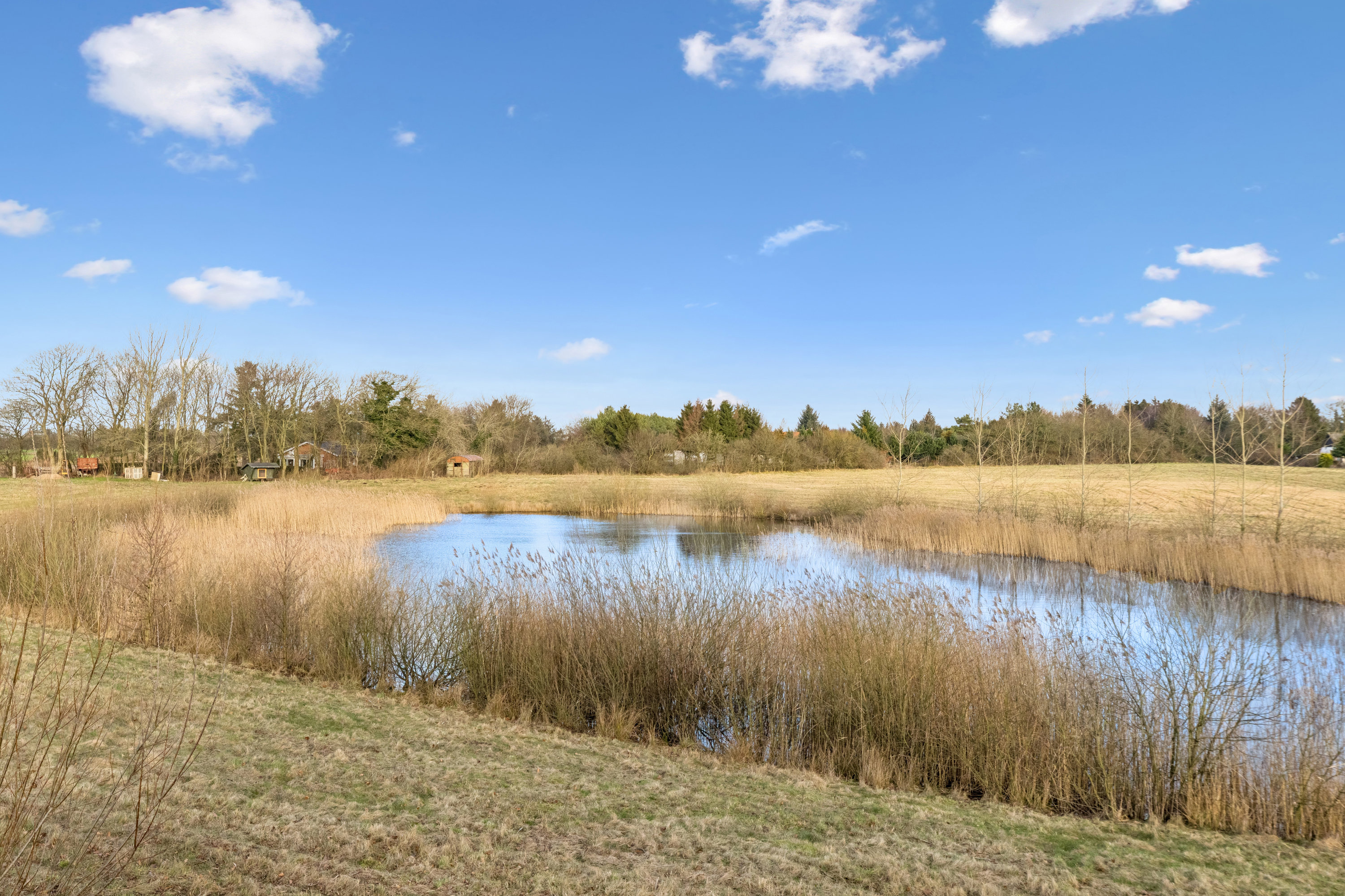 Fremhævet område billede i fuldskærmstilstand. Billede af Bjerreskovparken 29, 6760 Ribe