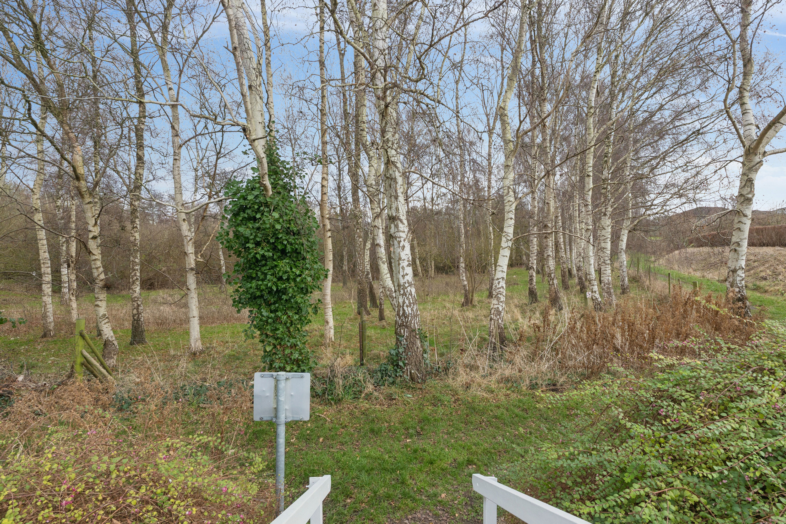 Fremhævet set fra haven billede i fuldskærmstilstand. Billede af Ternesøparken 39, Terslev, 4690 Haslev