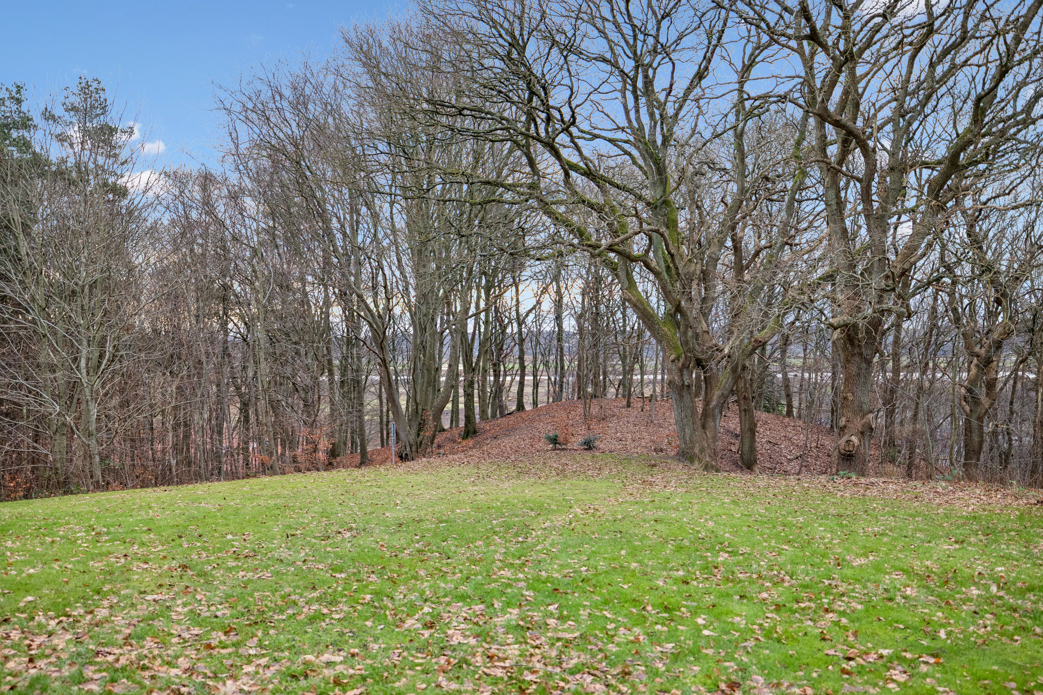 Fremhævet have billede i fuldskærmstilstand. Billede af Dalinsvej 86, 8920 Randers NV