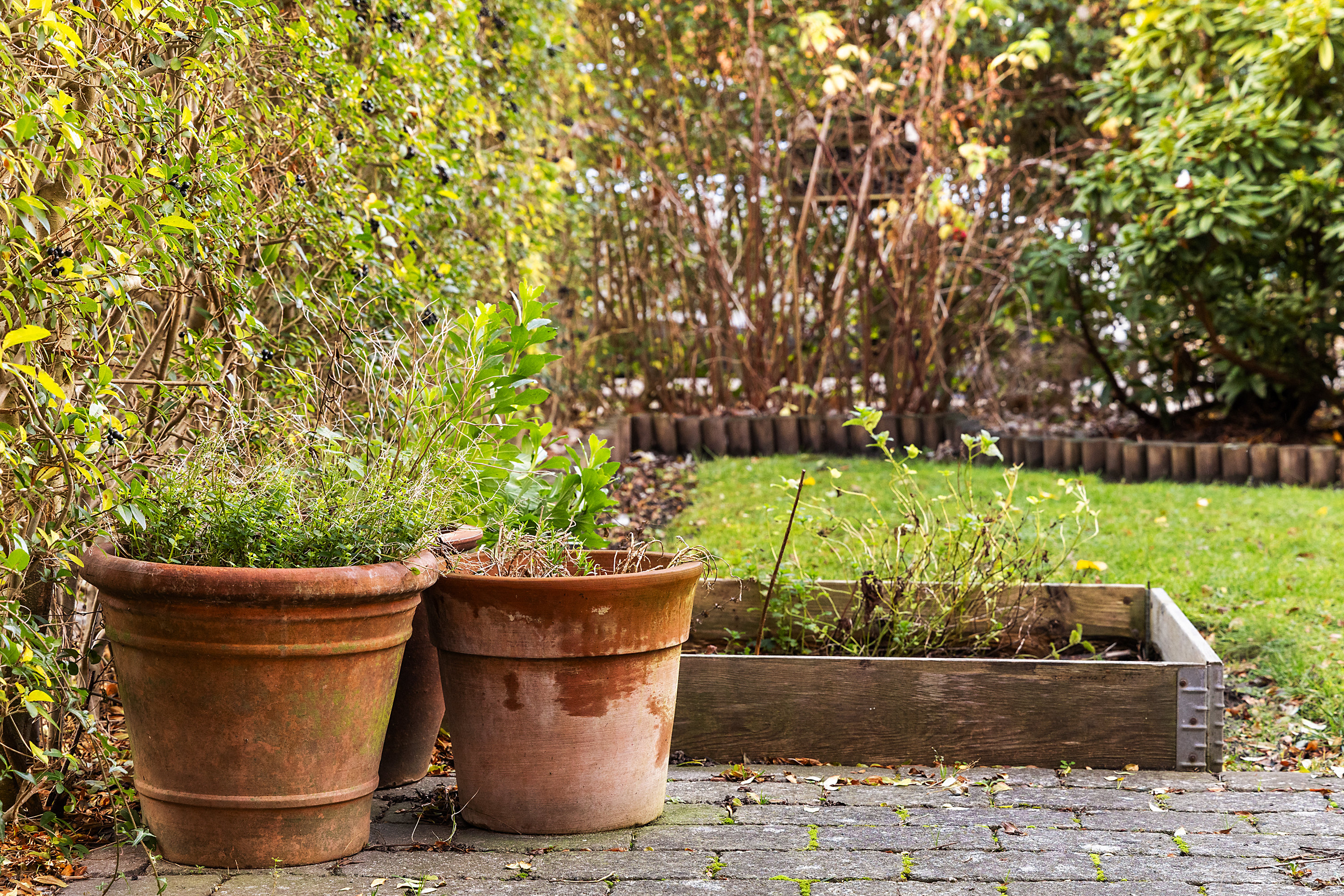 Fremhævet have billede i fuldskærmstilstand. Billede af Nattergalevej 68, st.. tv., 2400 København NV