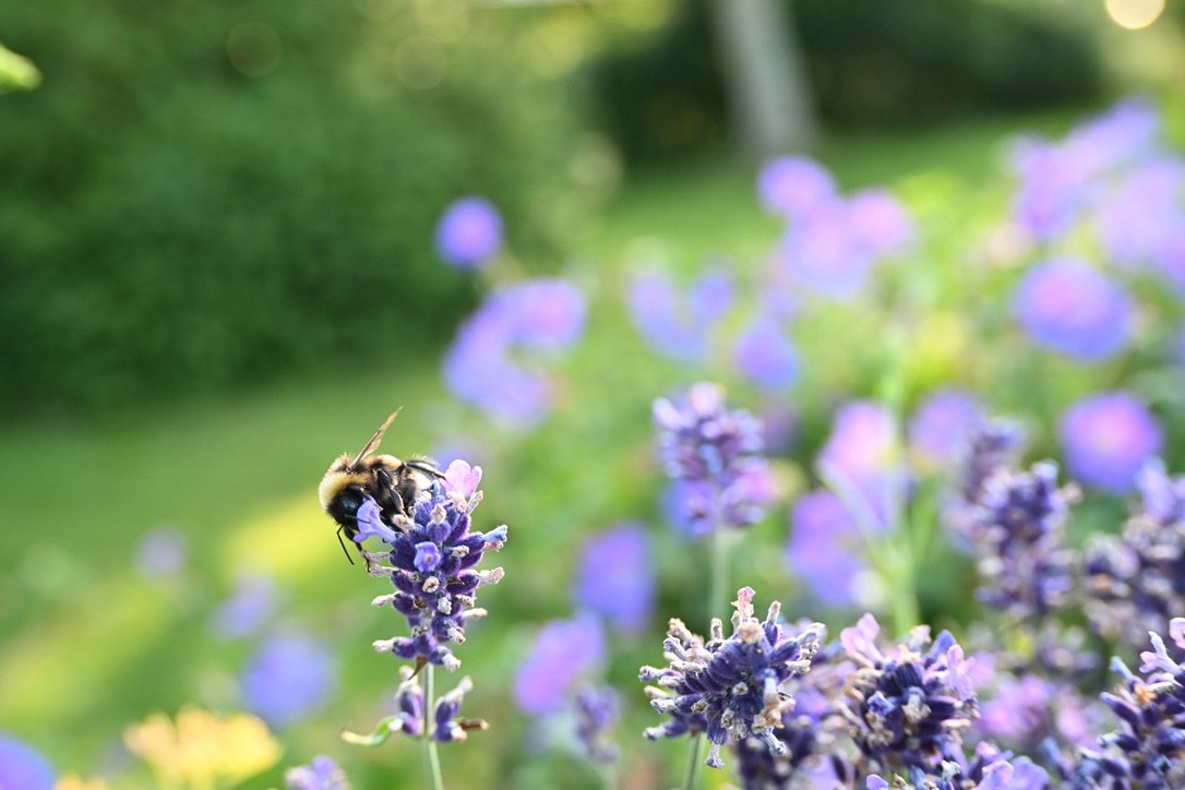 Fremhævet stemningsbillede billede i fuldskærmstilstand. Billede af Klintevej 28, Hald Strand, 3390 Hundested