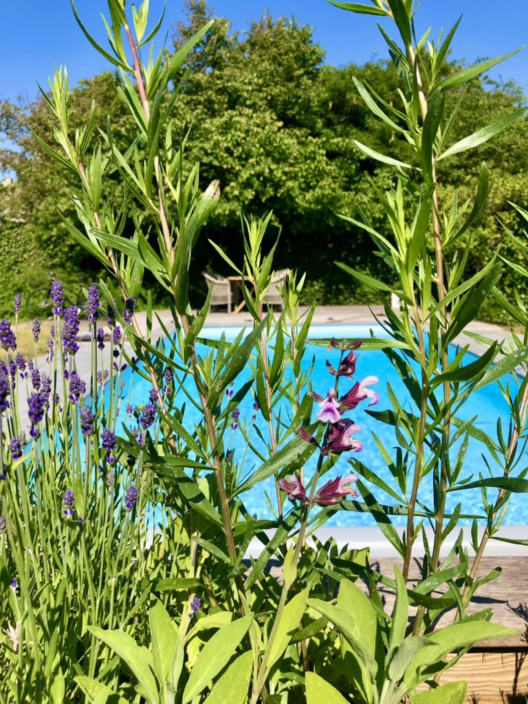 Fremhævet stemningsbillede billede i fuldskærmstilstand. Billede af Klintevej 28, Hald Strand, 3390 Hundested