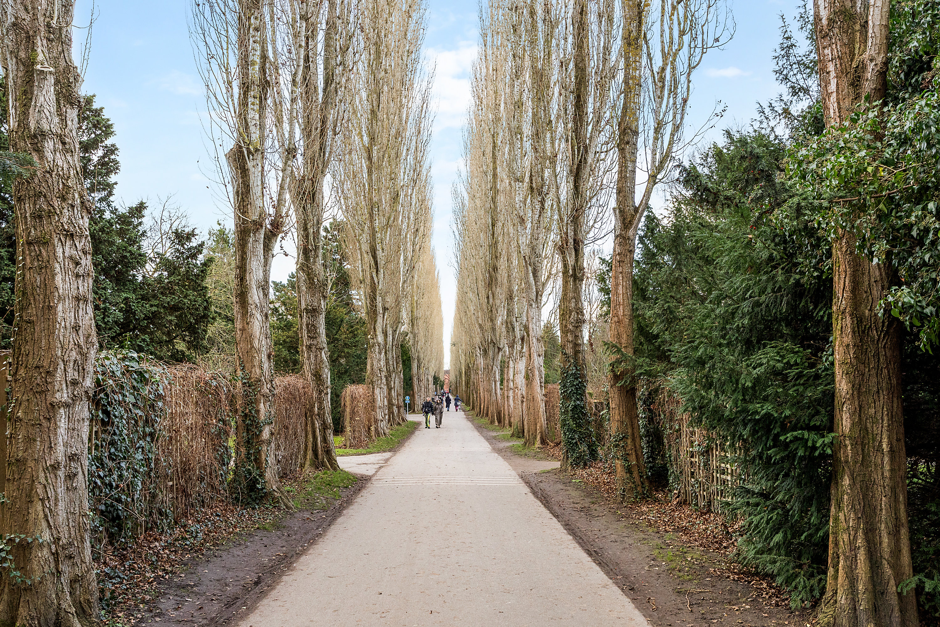 Fremhævet område billede i fuldskærmstilstand. Billede af Husumgade 1, st.. 1., 2200 København N