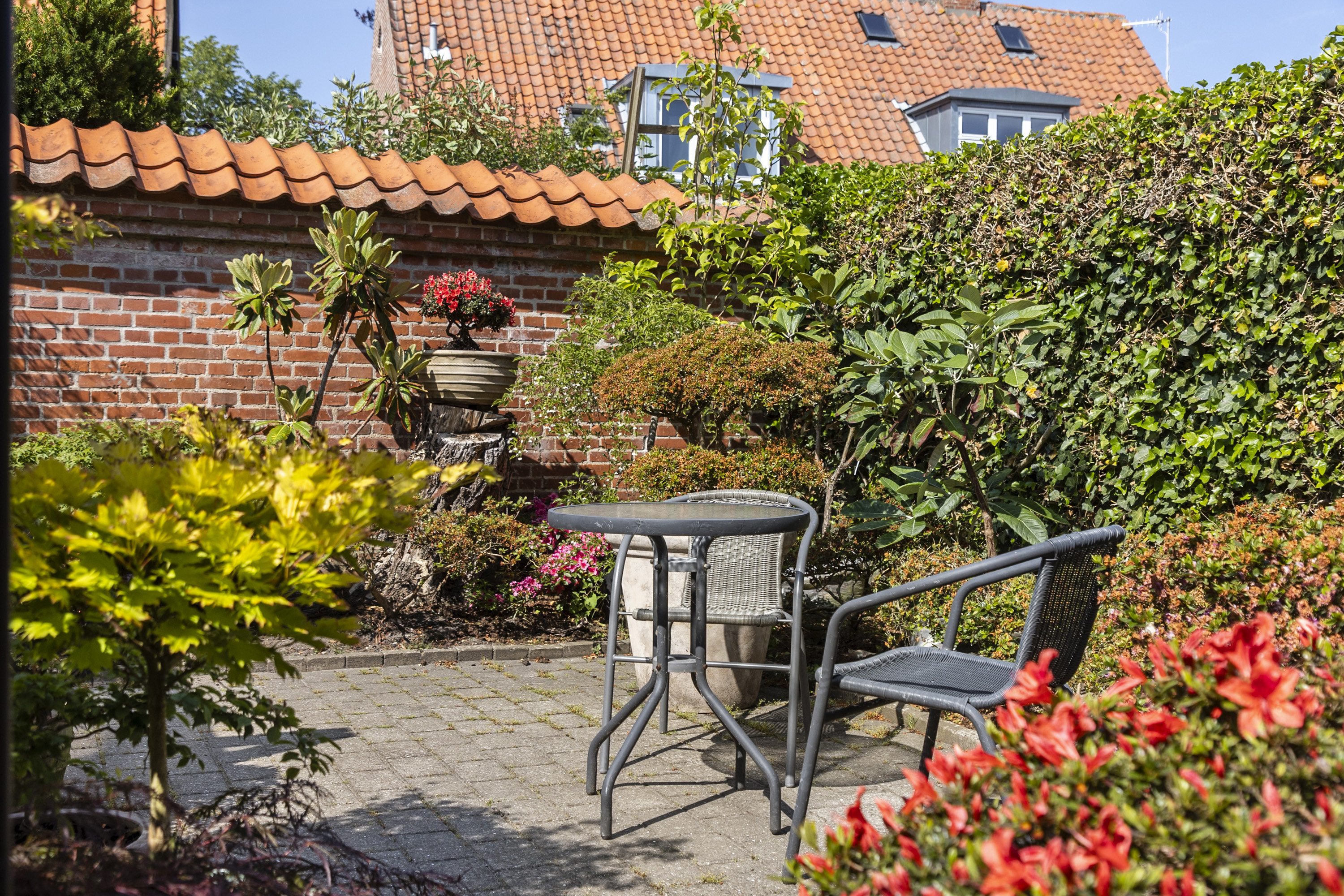 Fremhævet  billede i fuldskærmstilstand. Billede af M. C. Holms Gade 17, 7900 Nykøbing M