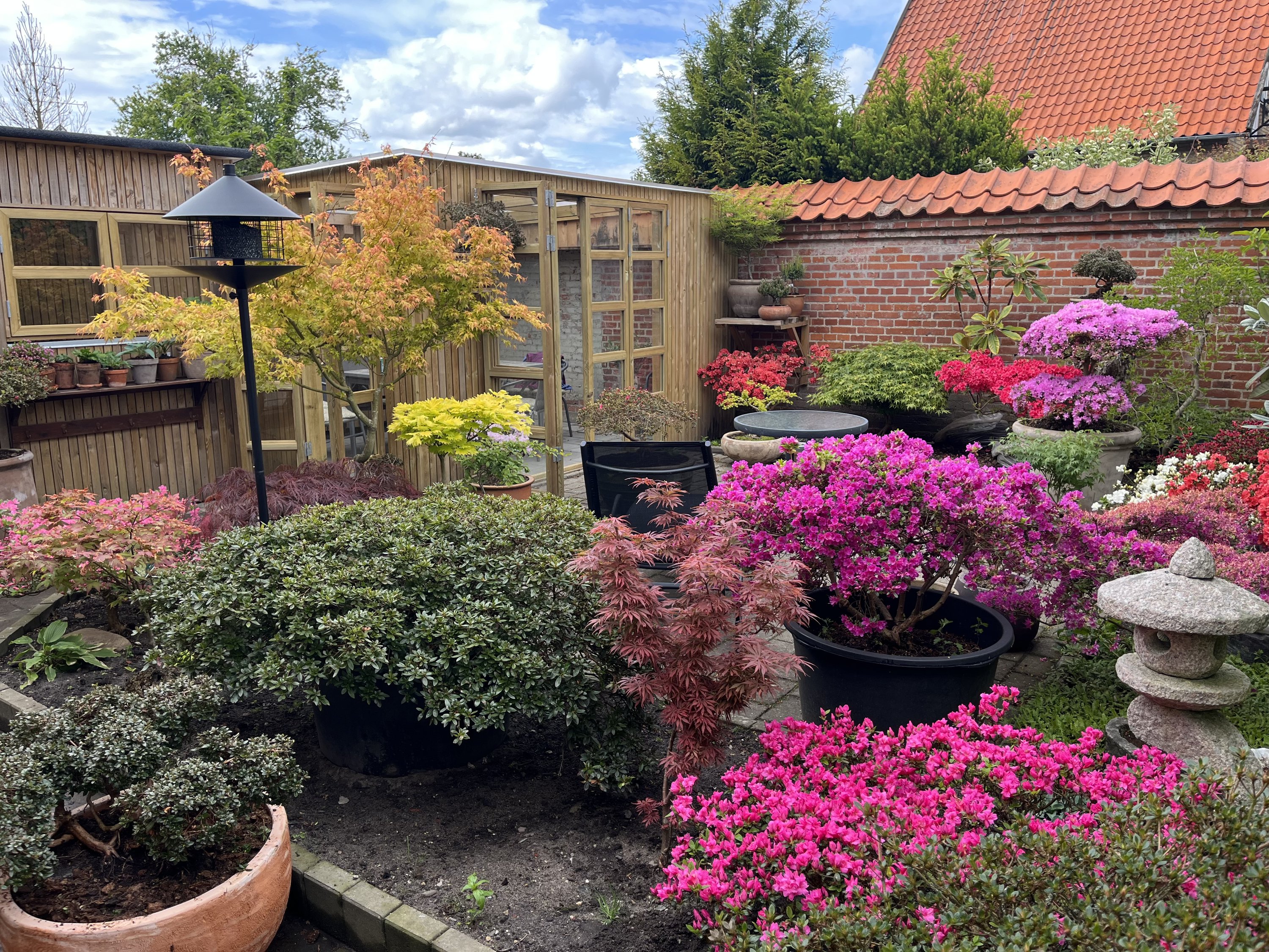 Fremhævet  billede i fuldskærmstilstand. Billede af M. C. Holms Gade 17, 7900 Nykøbing M