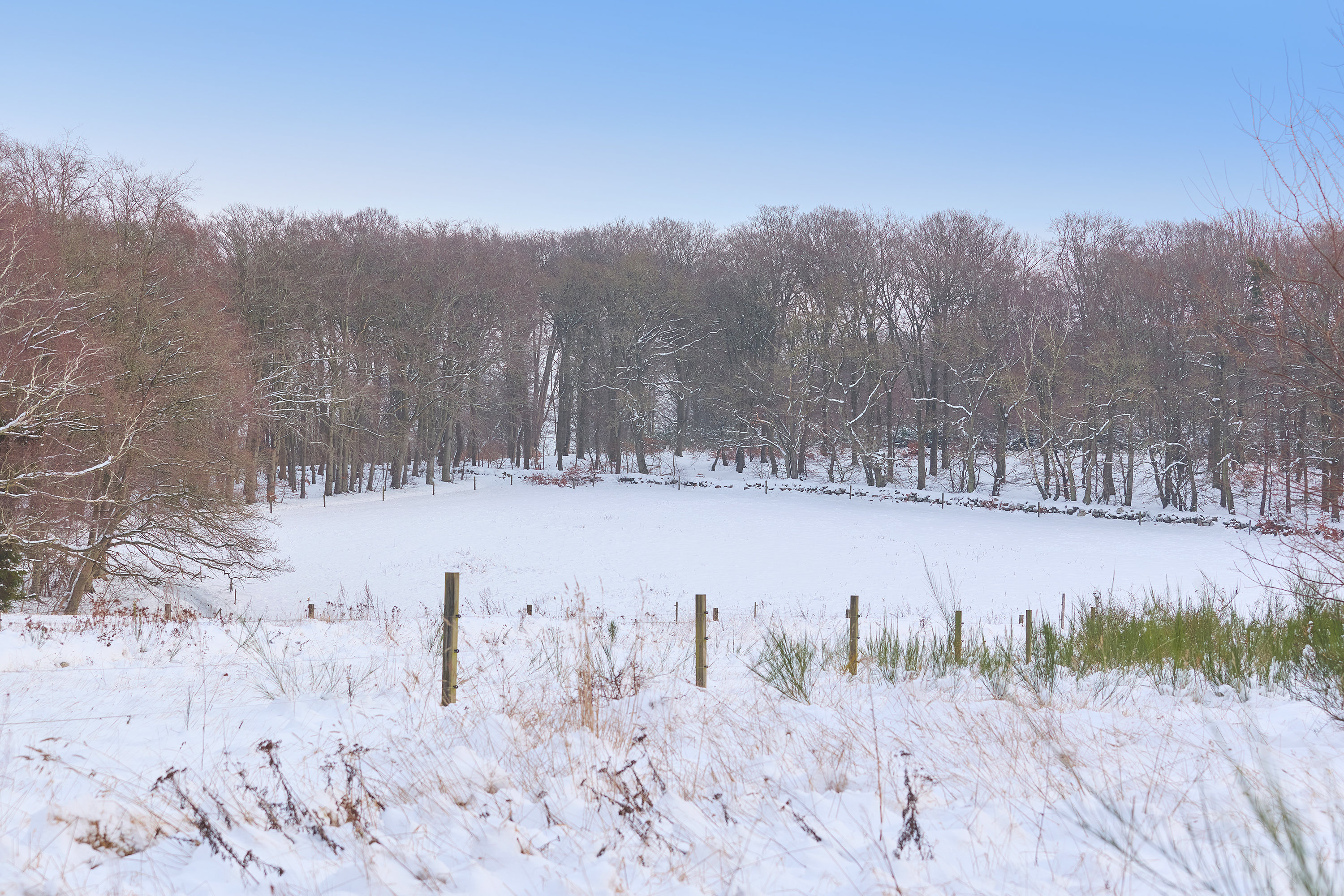 Fremhævet område billede i fuldskærmstilstand. Billede af Meransletten 1, 3630 Jægerspris