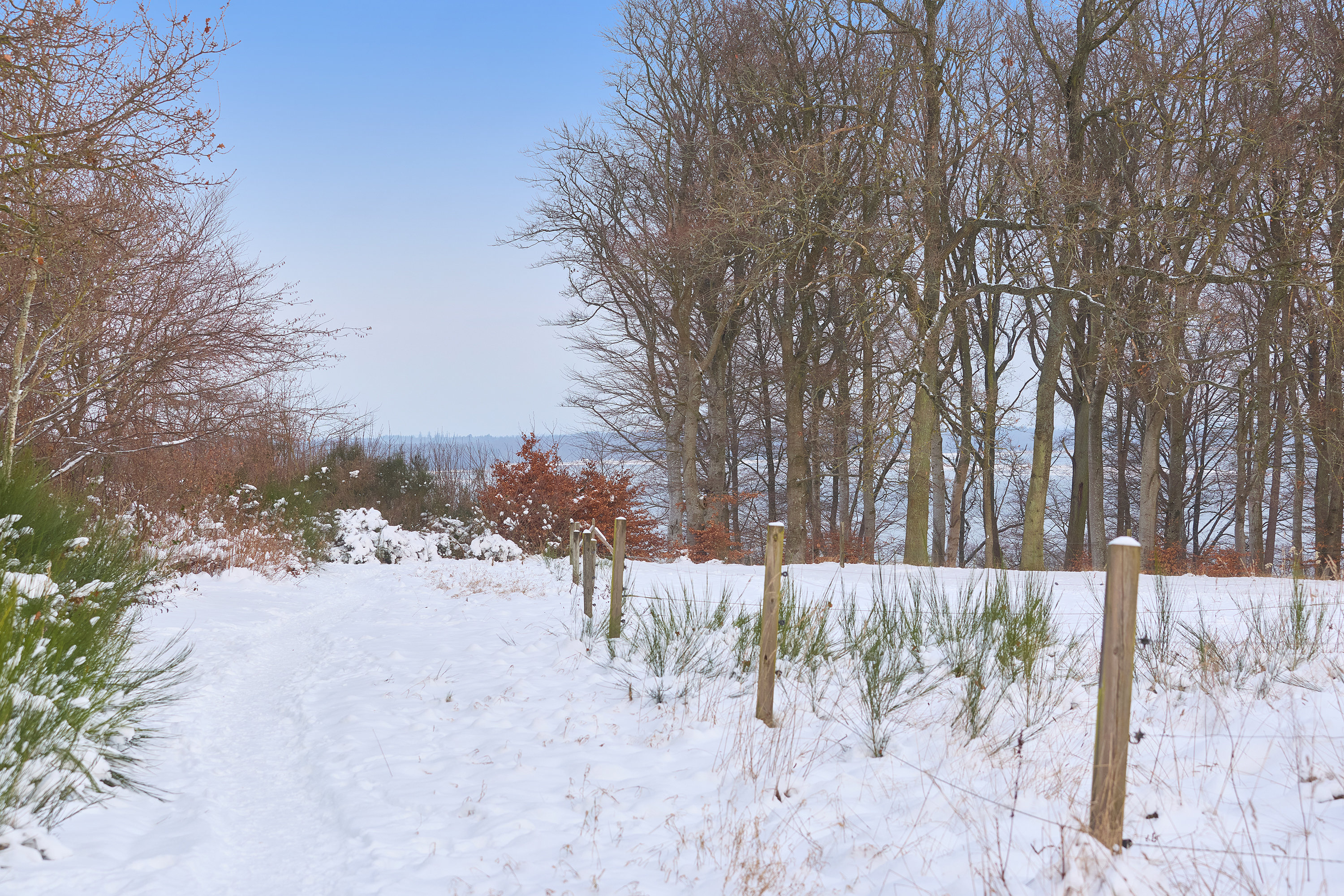 Fremhævet område billede i fuldskærmstilstand. Billede af Meransletten 1, 3630 Jægerspris