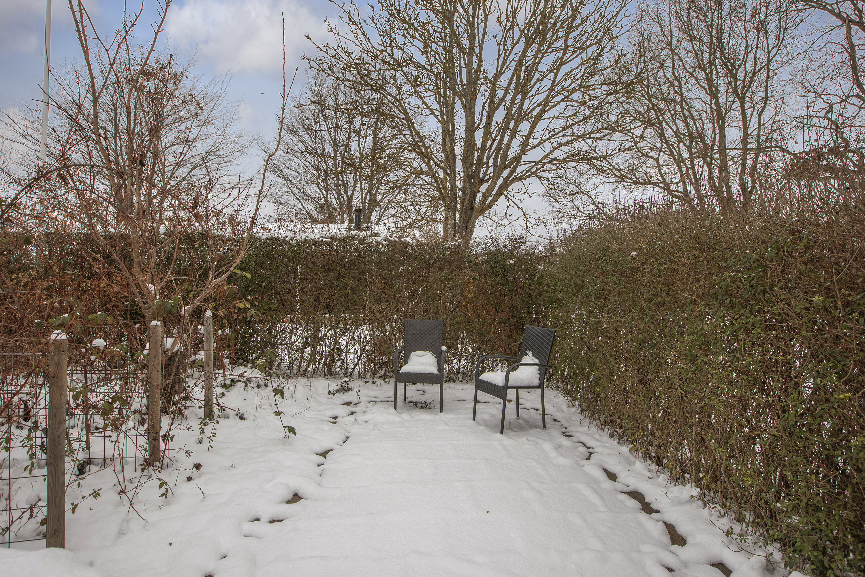 Fremhævet terrasse billede i fuldskærmstilstand. Billede af Asynjevej 40, 2740 Skovlunde