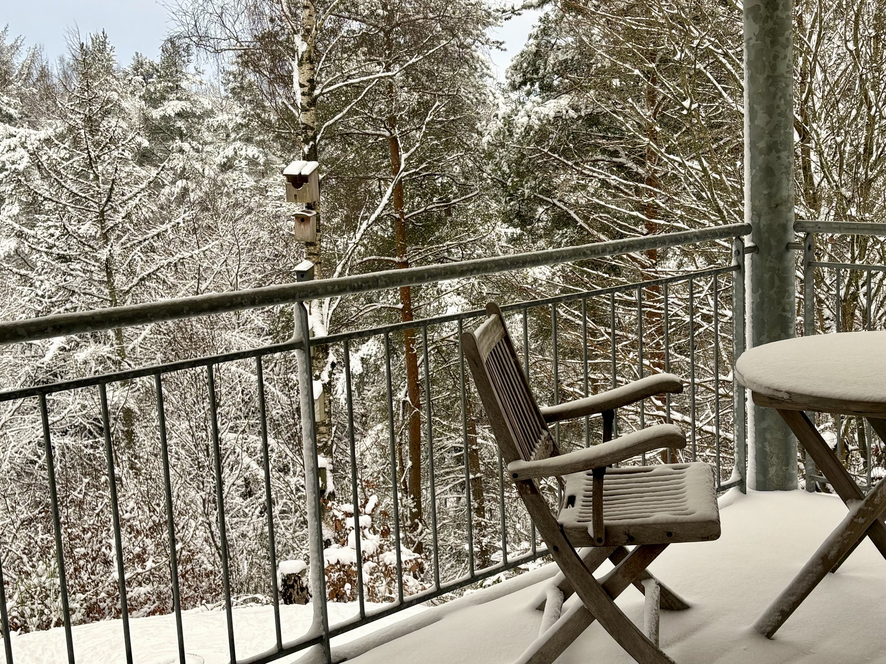 Fremhævet vinterbillede billede i fuldskærmstilstand. Billede af Holmekollen 8, Voervadsbro, 8660 Skanderborg