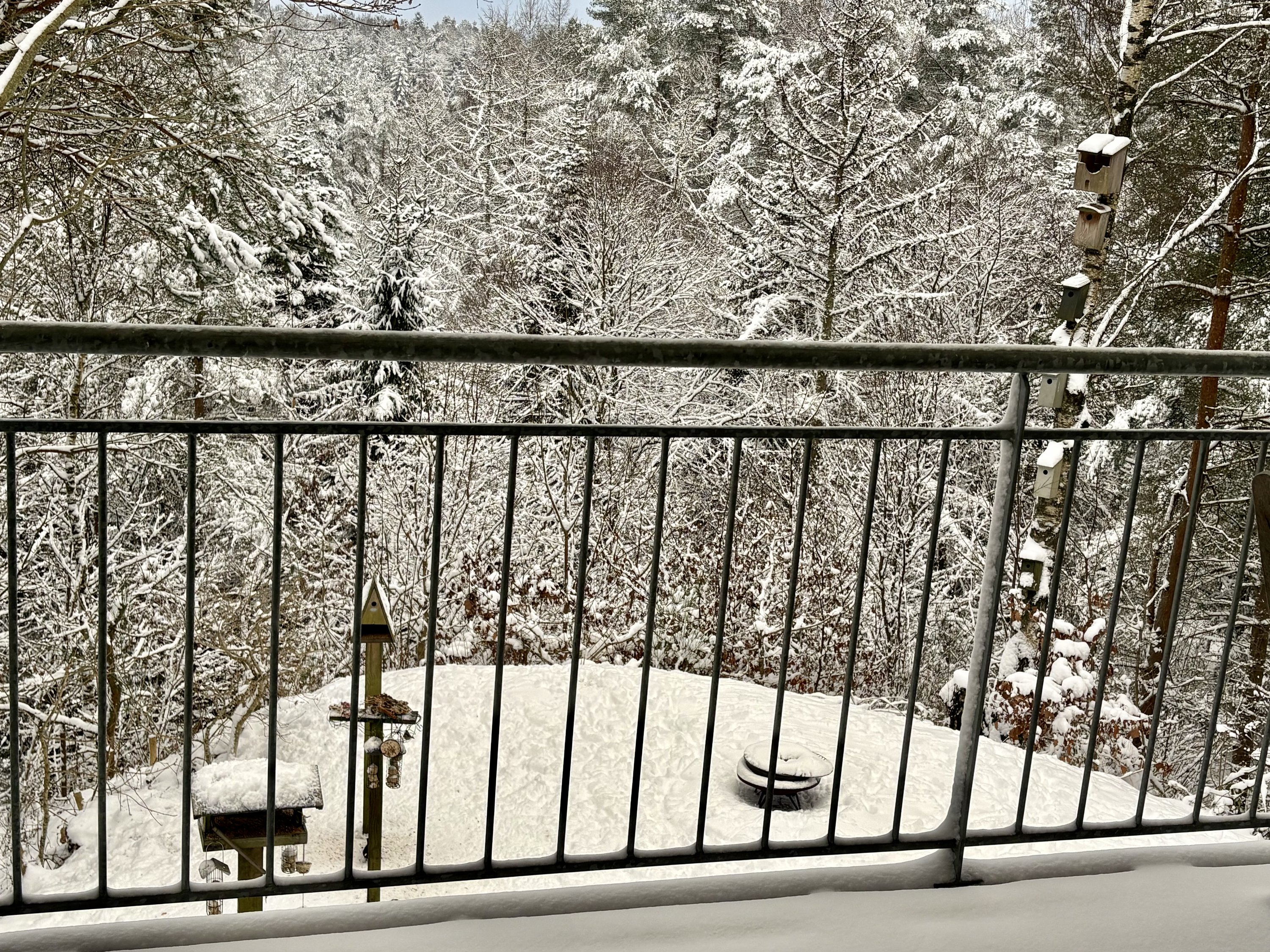 Fremhævet vinterbillede billede i fuldskærmstilstand. Billede af Holmekollen 8, Voervadsbro, 8660 Skanderborg