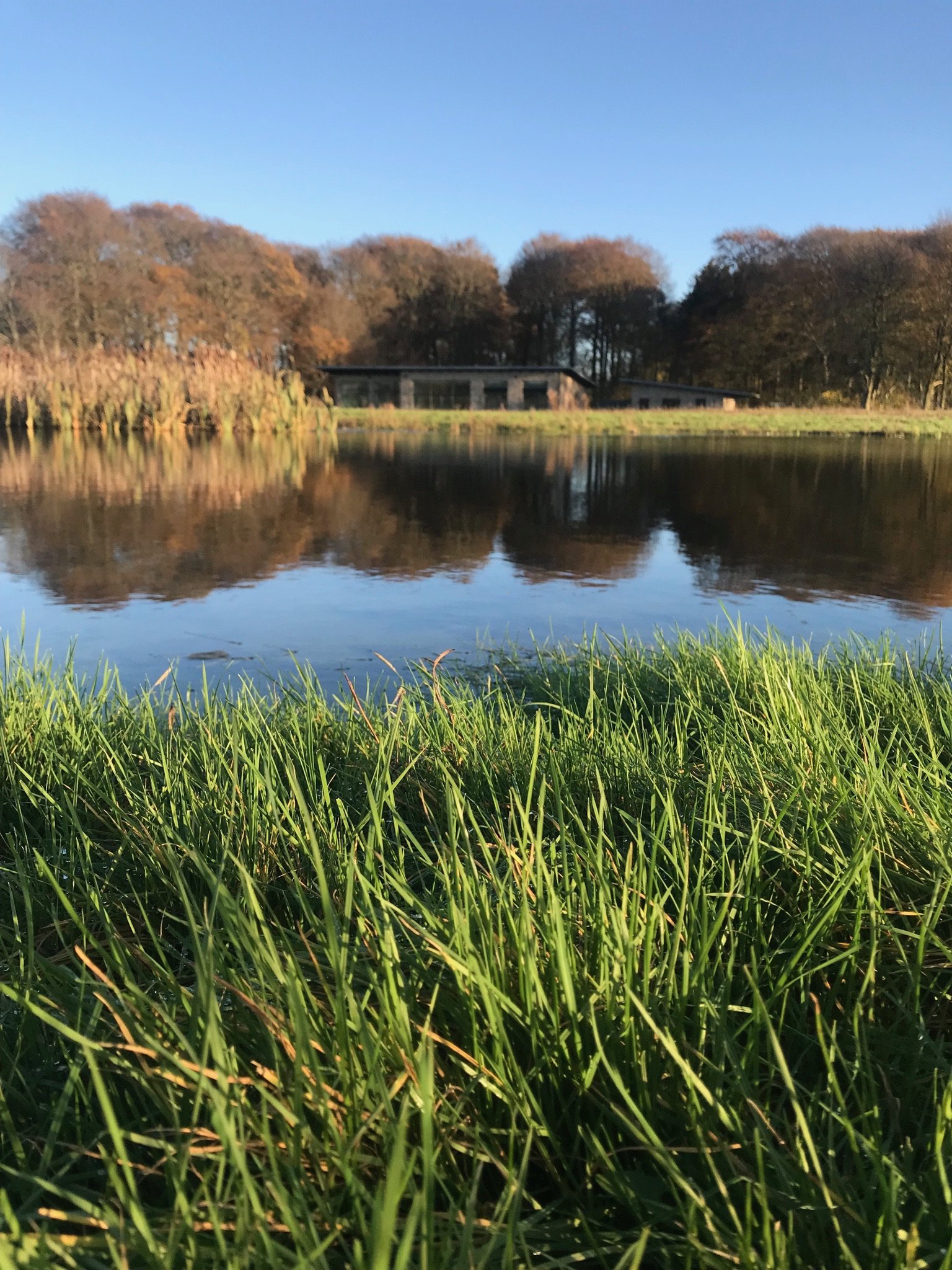 Fremhævet  billede i fuldskærmstilstand. Billede af Honum Skovvej 13, 8762 Flemming