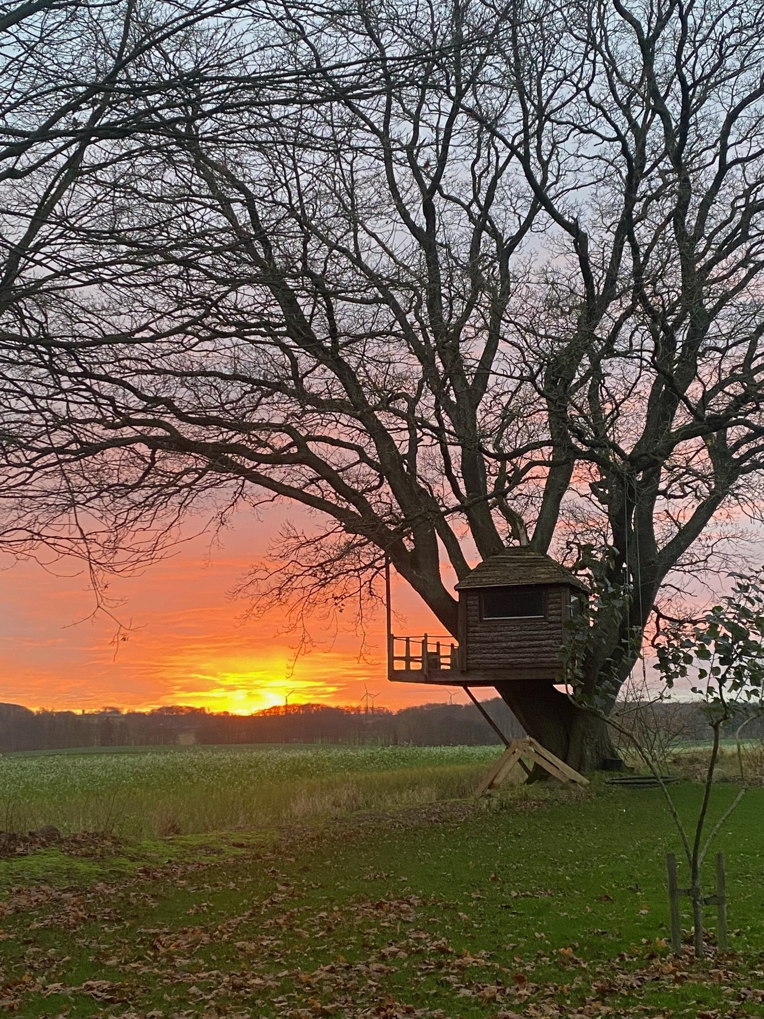 Fremhævet  billede i fuldskærmstilstand. Billede af Honum Skovvej 13, 8762 Flemming