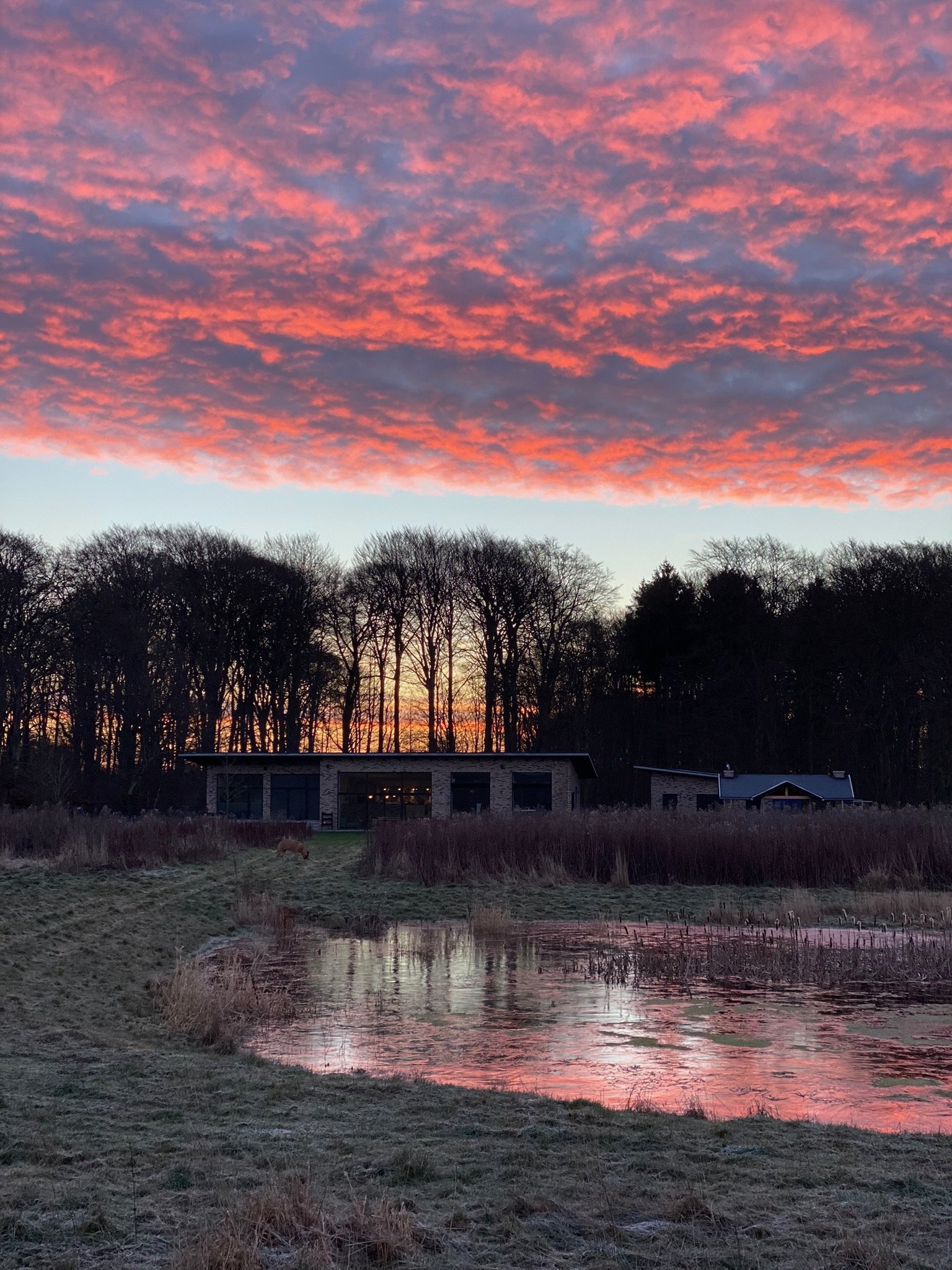 Fremhævet  billede i fuldskærmstilstand. Billede af Honum Skovvej 13, 8762 Flemming