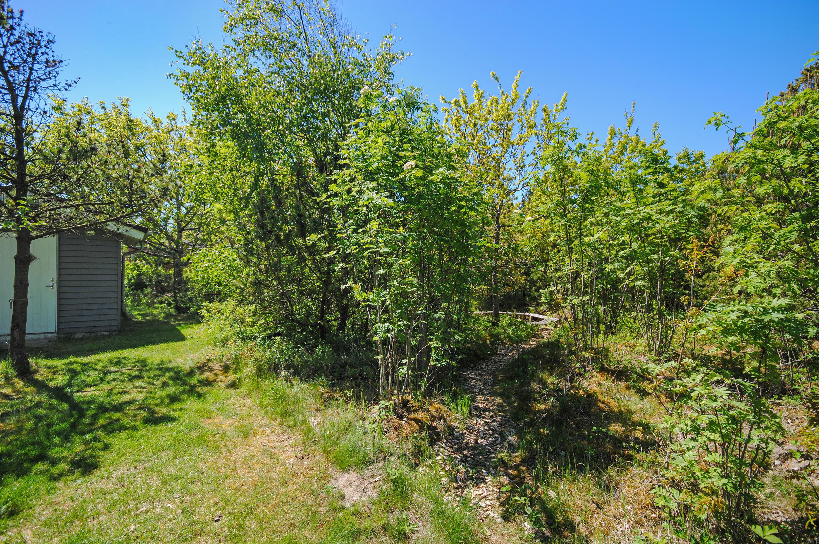 Fremhævet  billede i fuldskærmstilstand. Billede af Fyrrealle 13, Lodbj Hede, 6950 Ringkøbing