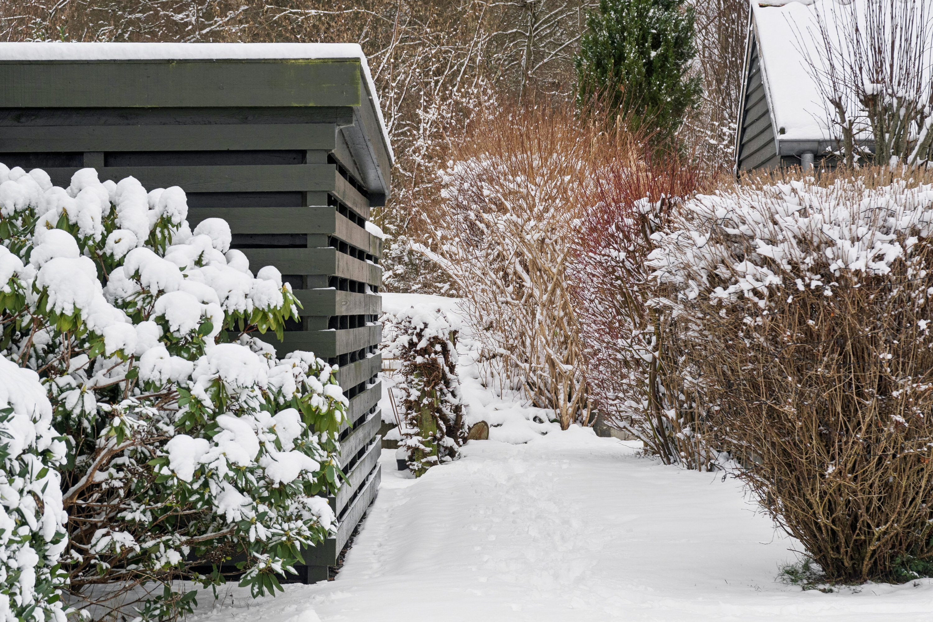 Fremhævet have billede i fuldskærmstilstand. Billede af Møllegårdsvej 51B, 8600 Silkeborg