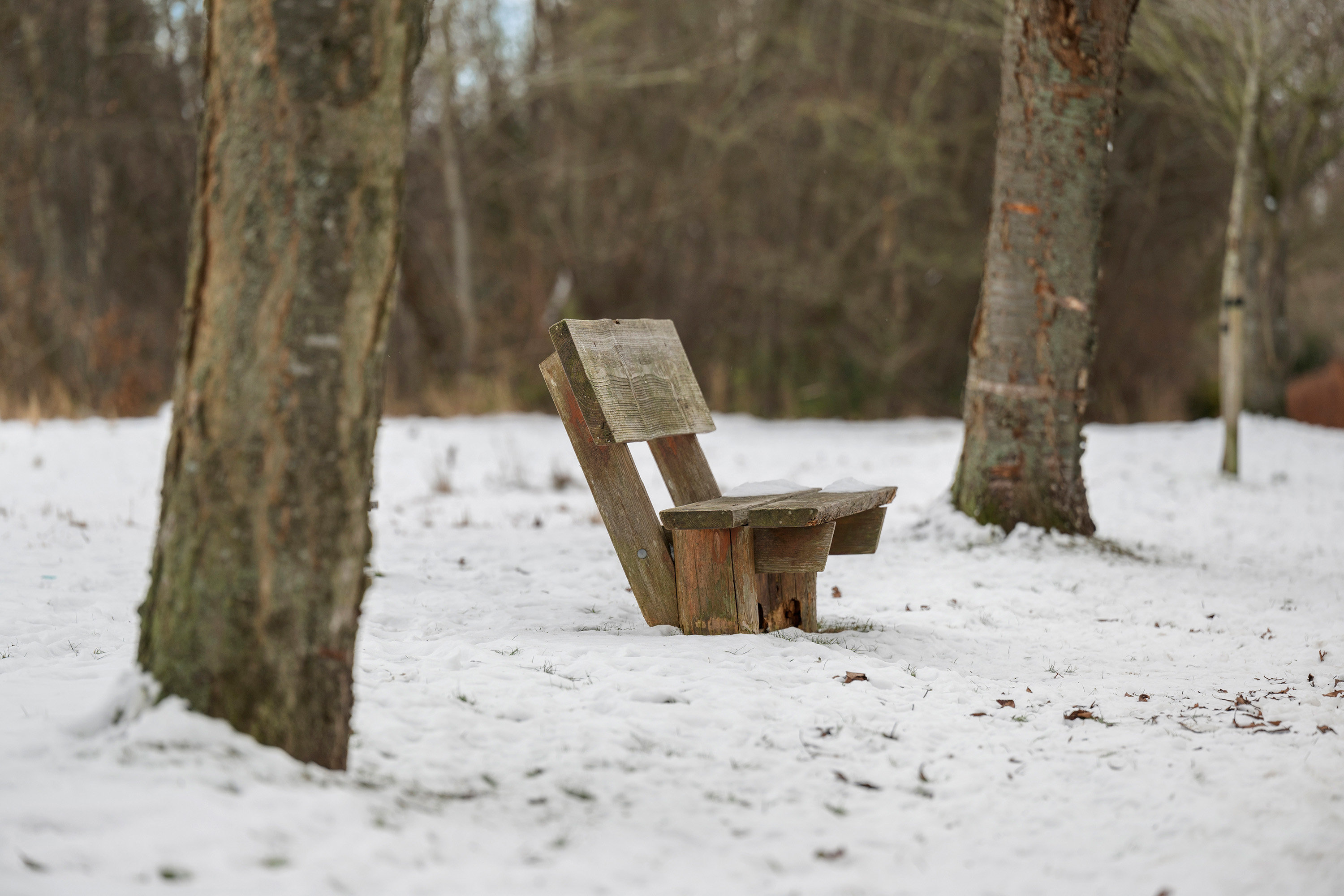 Fremhævet område billede i fuldskærmstilstand. Billede af Stakkeledet 3, 2970 Hørsholm