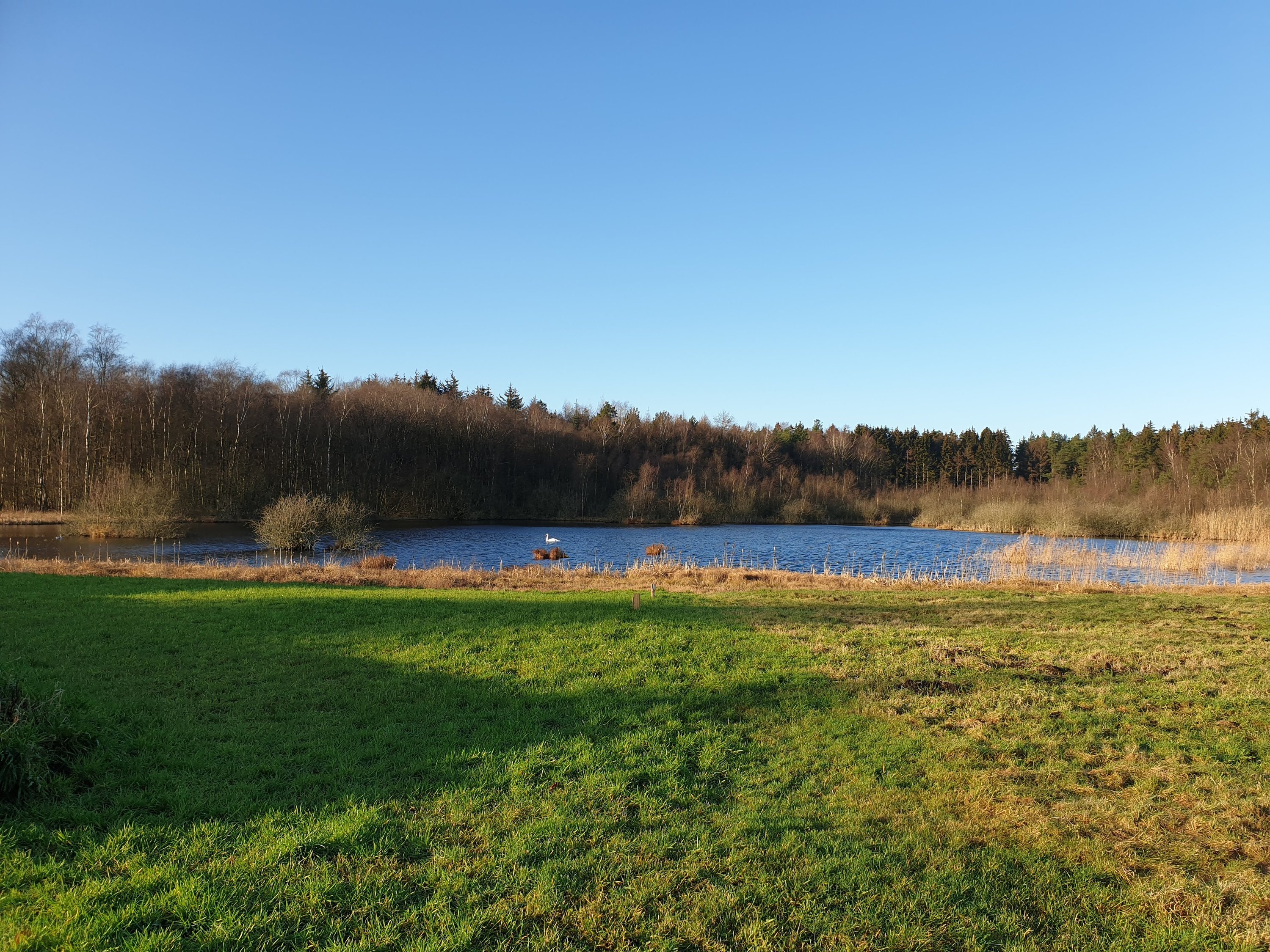 Fremhævet  billede i fuldskærmstilstand. Billede af Mågevej 31, Fuglslev, 8400 Ebeltoft