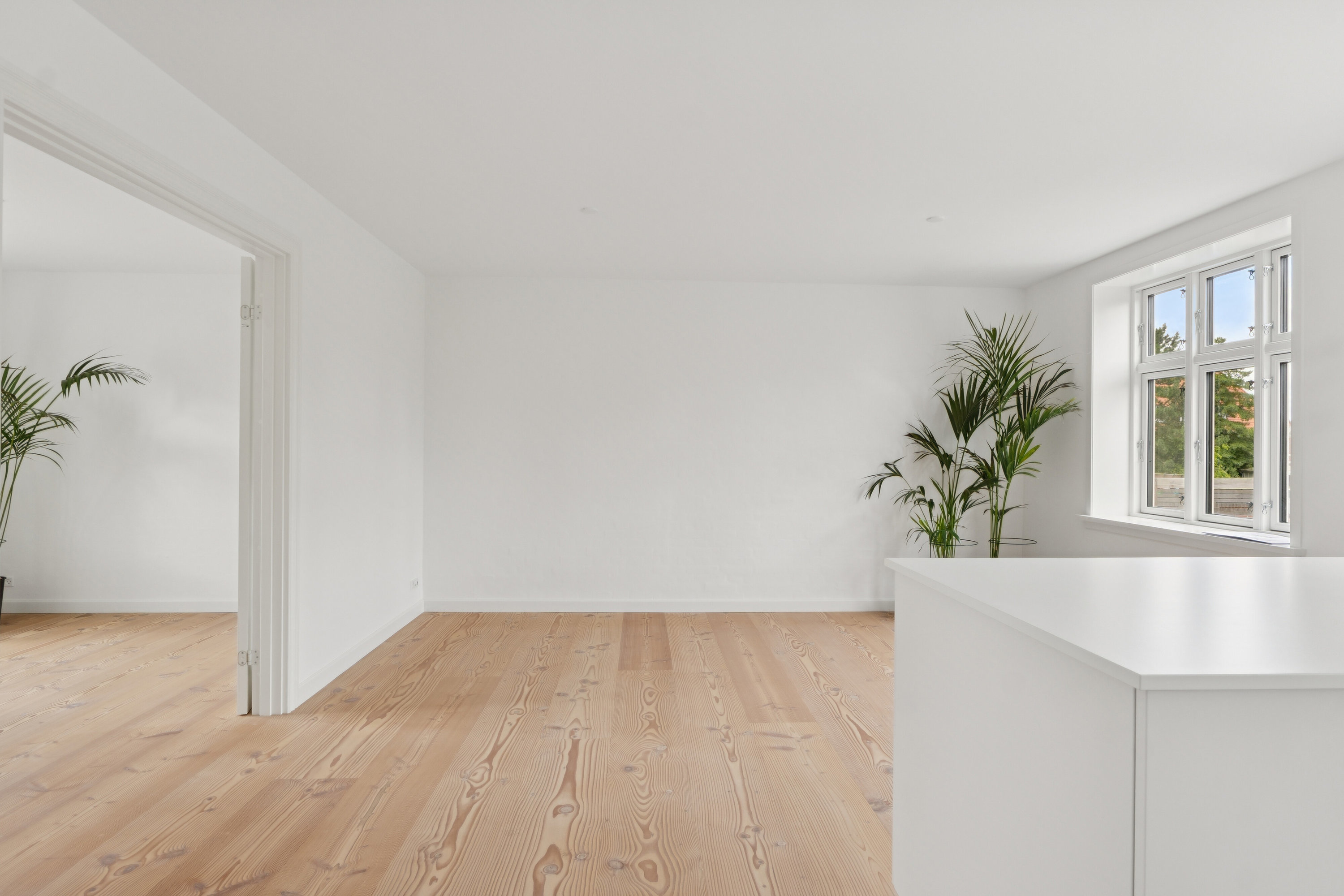 Fremhævet  billede i fuldskærmstilstand. Billede af Thorkildsgade 17, st.., 5000 Odense C