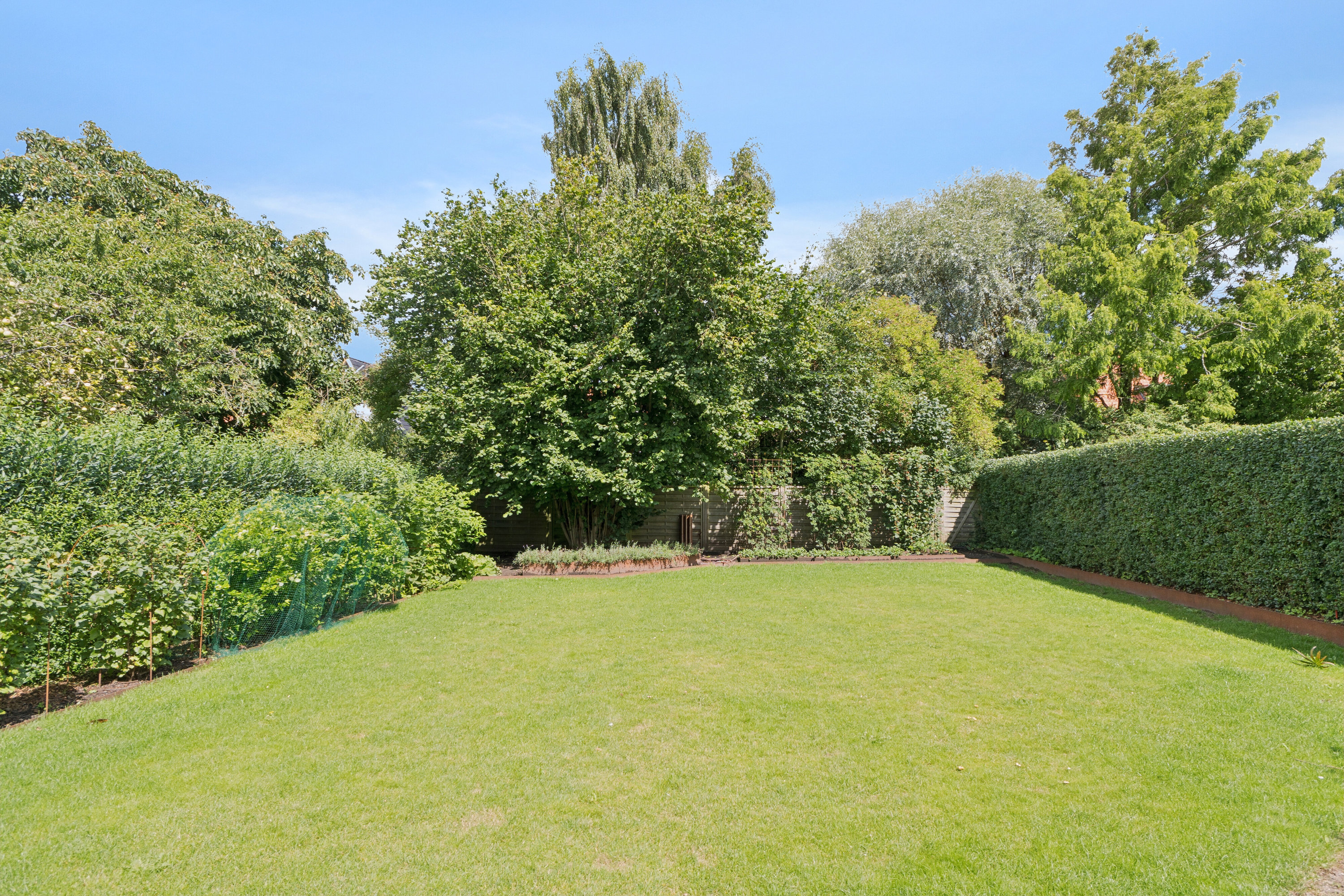 Fremhævet  billede i fuldskærmstilstand. Billede af Thorkildsgade 17, 1., 5000 Odense C