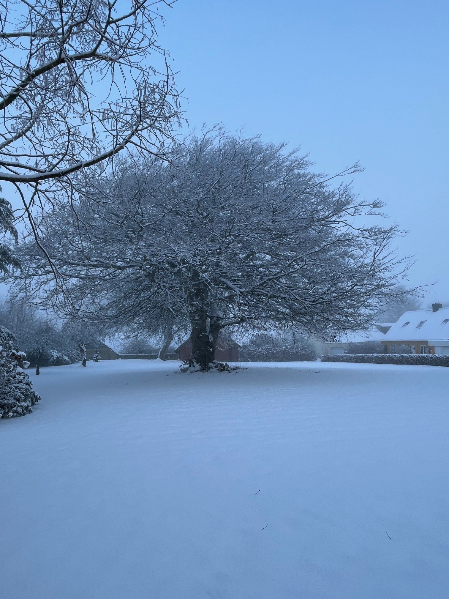 Fremhævet  billede i fuldskærmstilstand. Billede af Blichersvej 25, Over Randlev, 8300 Odder