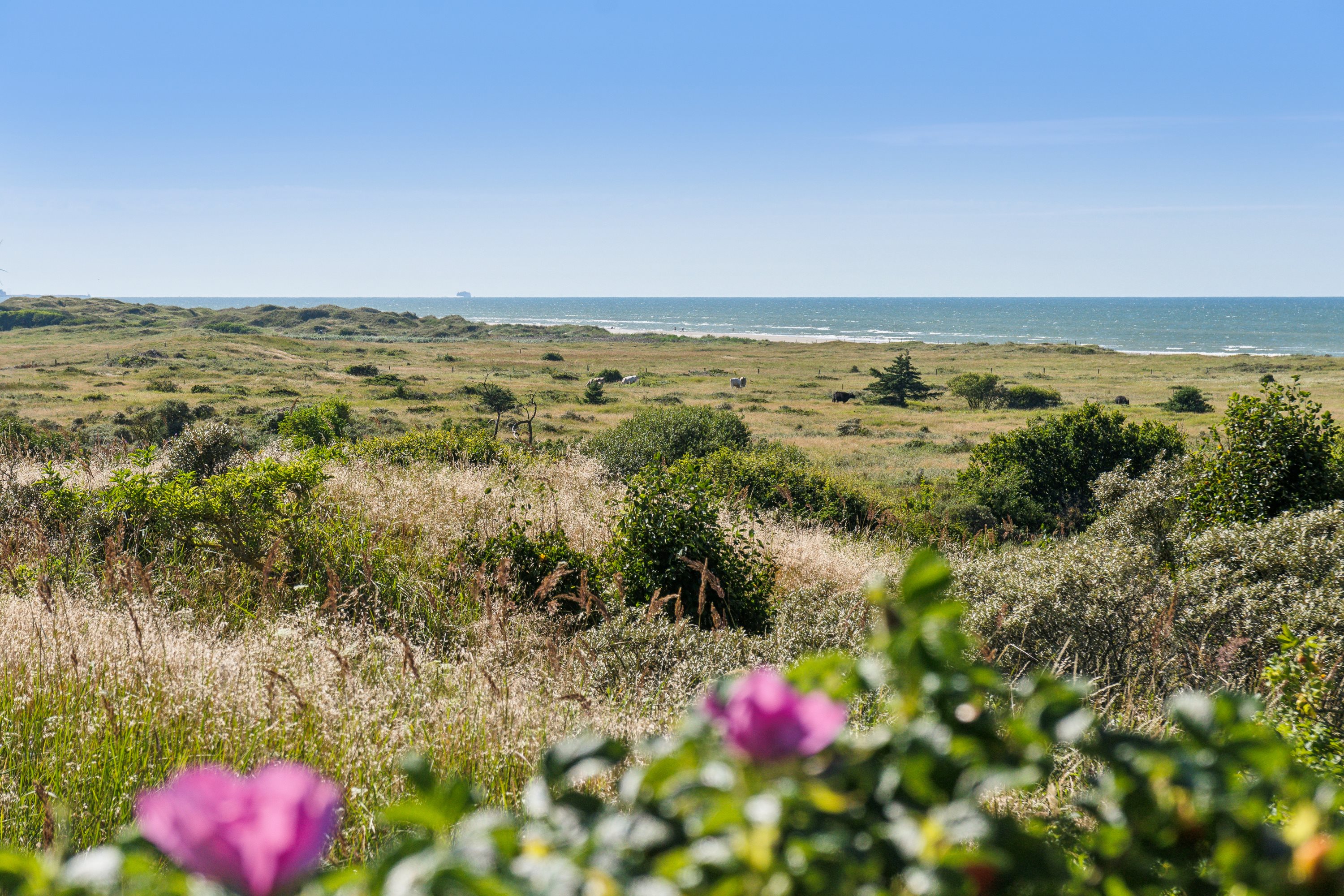 Fremhævet udsigt fra terrasse billede i fuldskærmstilstand. Billede af Abelvej 7, Tversted, 9881 Bindslev