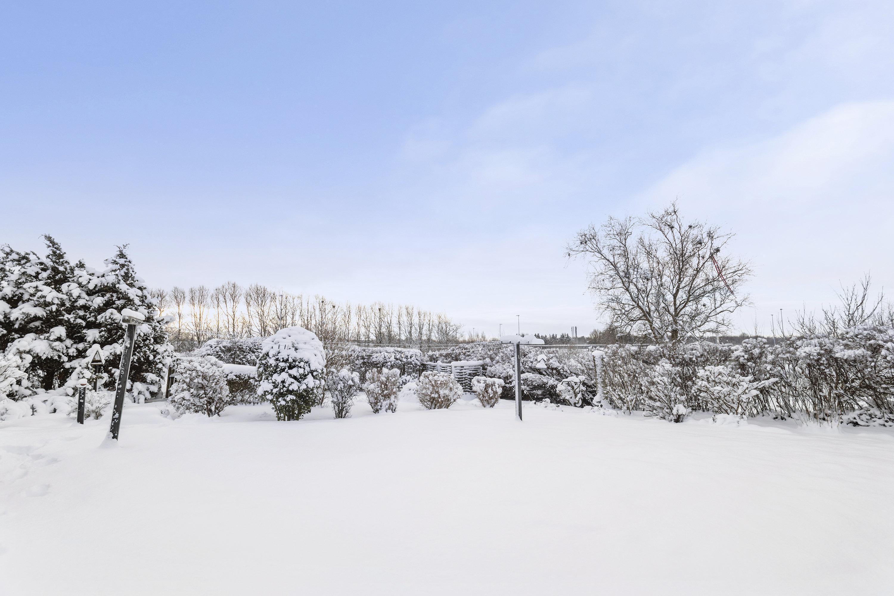 Fremhævet have billede i fuldskærmstilstand. Billede af Asgård 14, 9700 Brønderslev