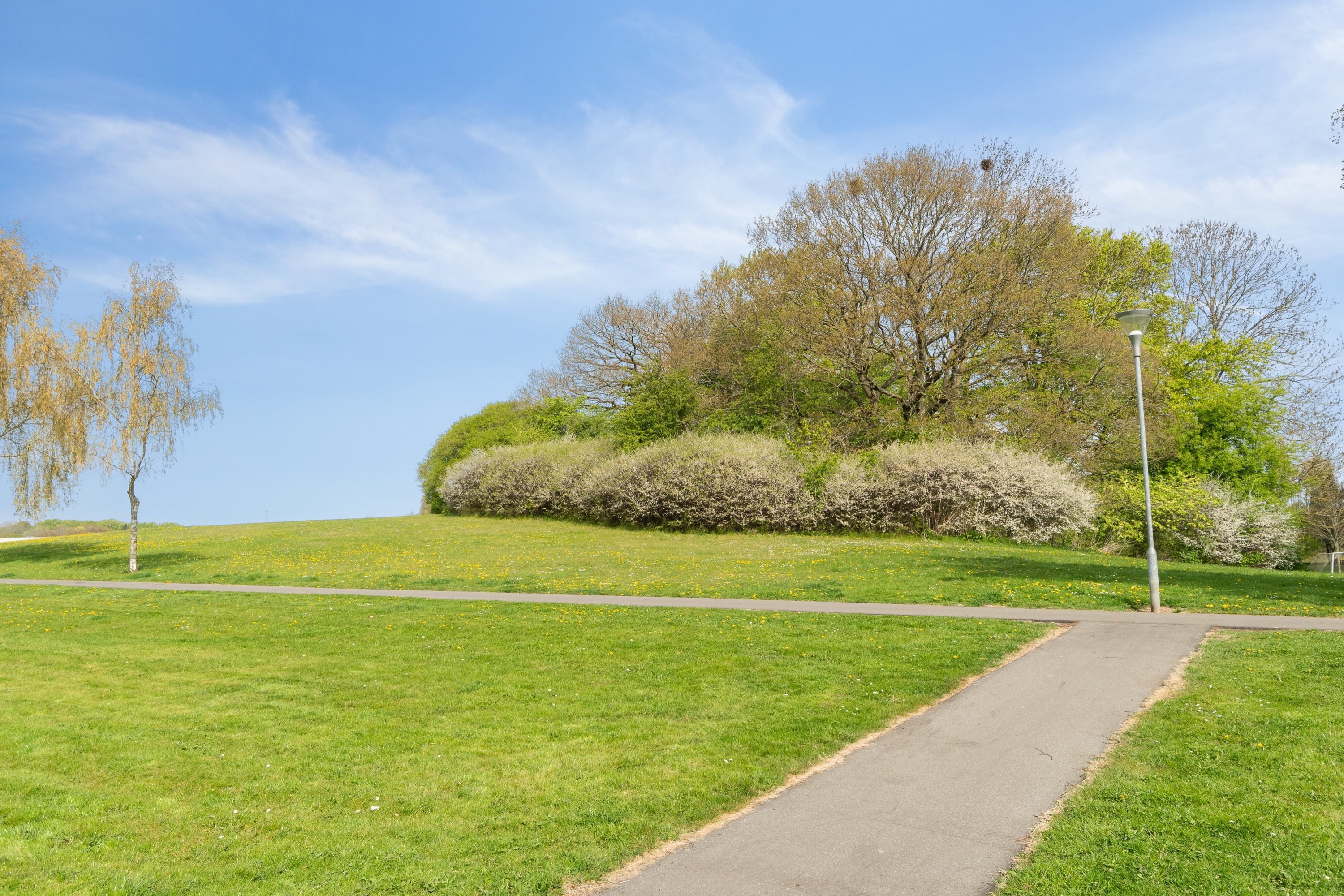 Fremhævet grønne arealer billede i fuldskærmstilstand. Billede af Grøndalsvej 48, 3. 4., 8260 Viby J