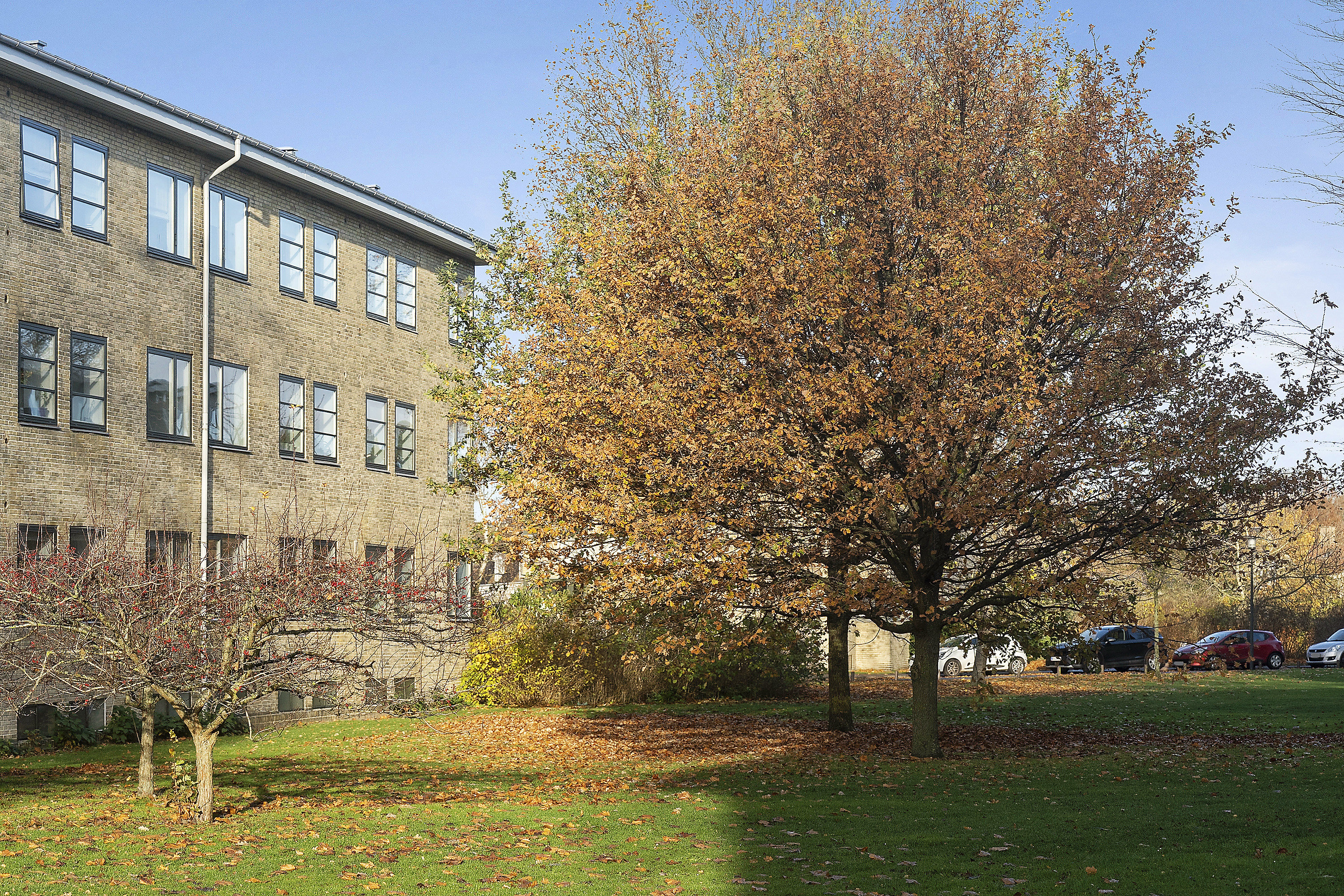 Fremhævet ejendommen billede i fuldskærmstilstand. Billede af Blidahpark 33, 2. th., 2900 Hellerup