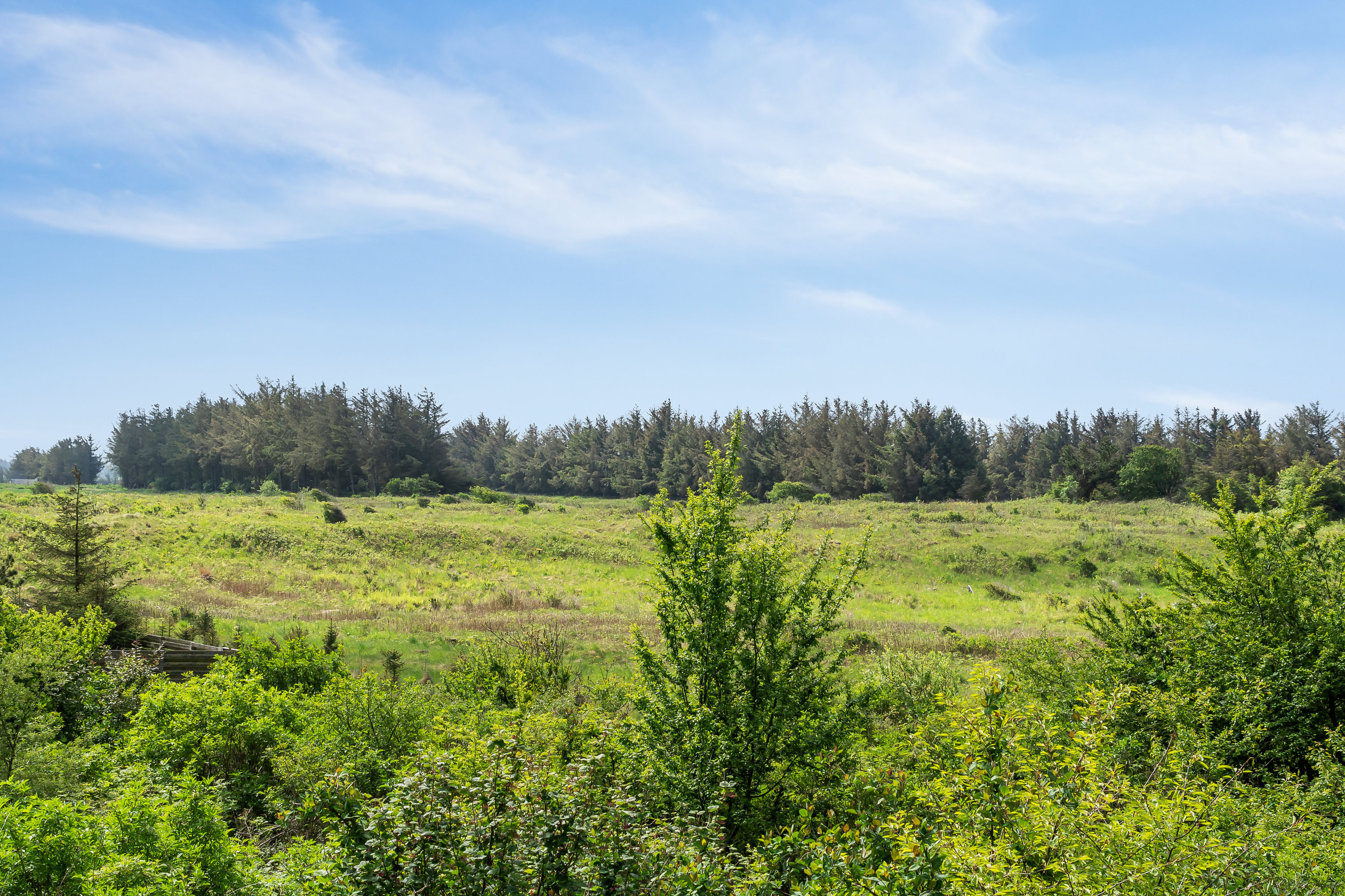 Miniaturebillede 2: . Billede af Egernvej 25, Nr Rubjerg, 9480 Løkken