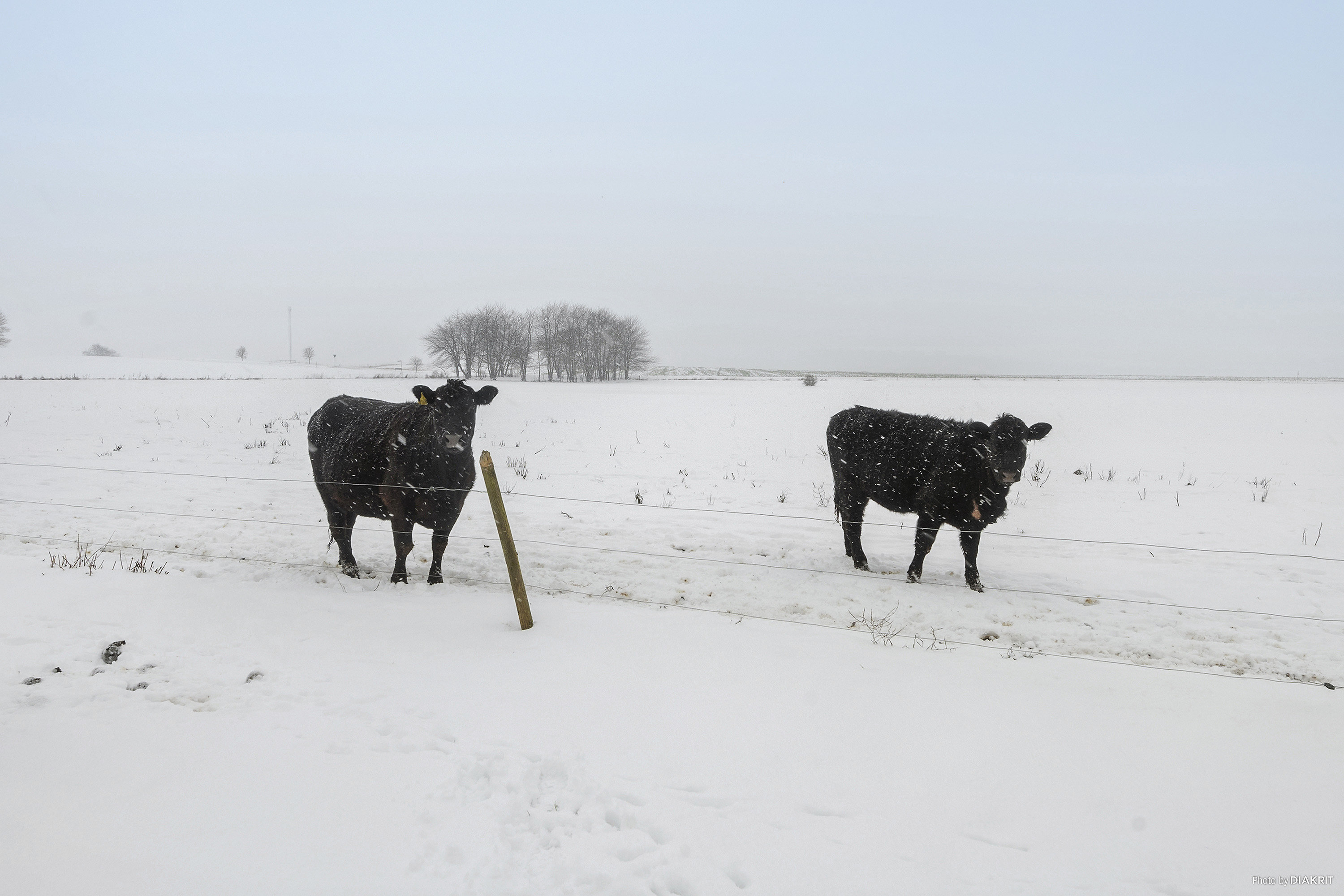 Fremhævet område billede i fuldskærmstilstand. Billede af Blichersvej 25, Over Randlev, 8300 Odder