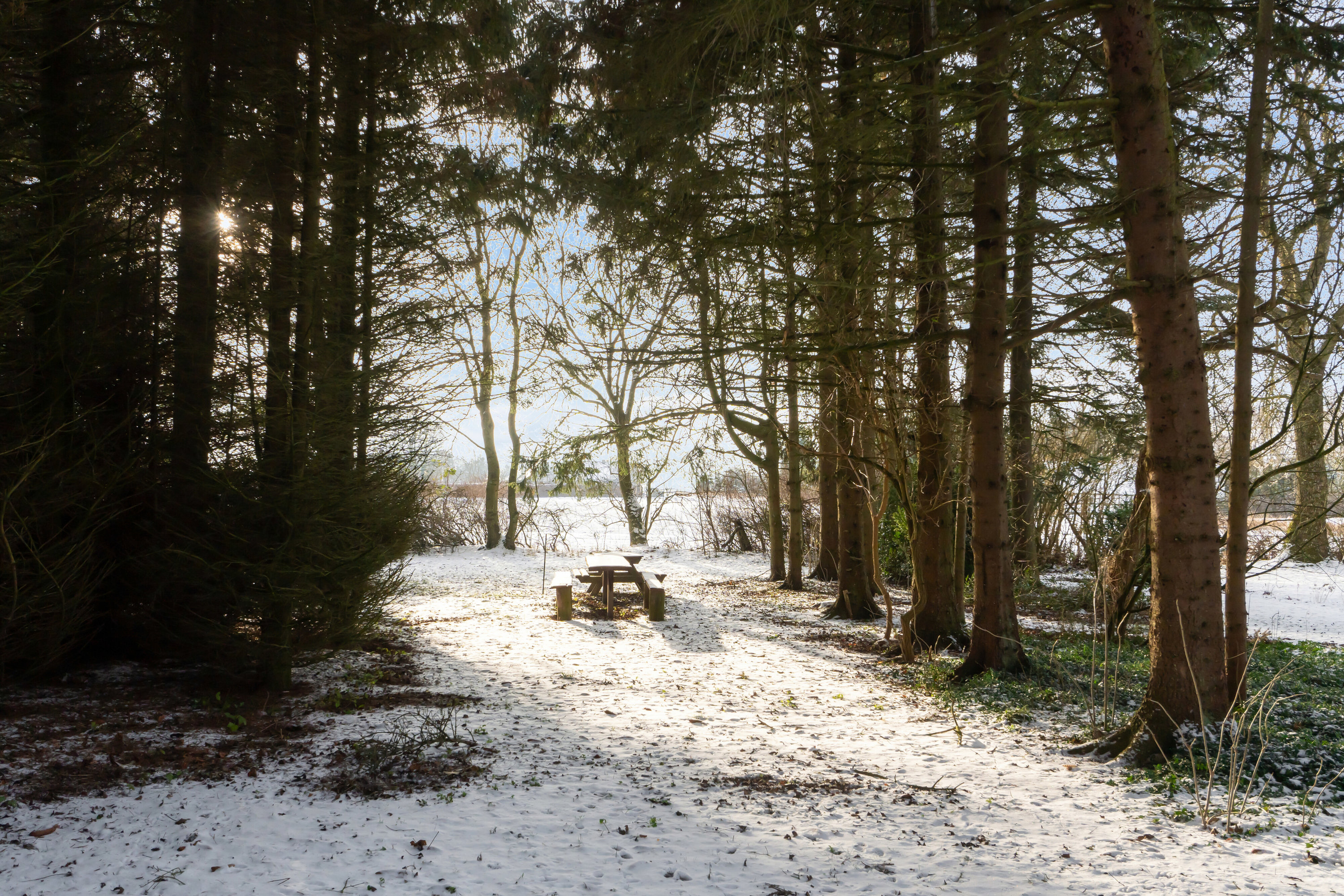 Fremhævet omgivelser billede i fuldskærmstilstand. Billede af Terslev Overdrevsvej 8, 4690 Haslev