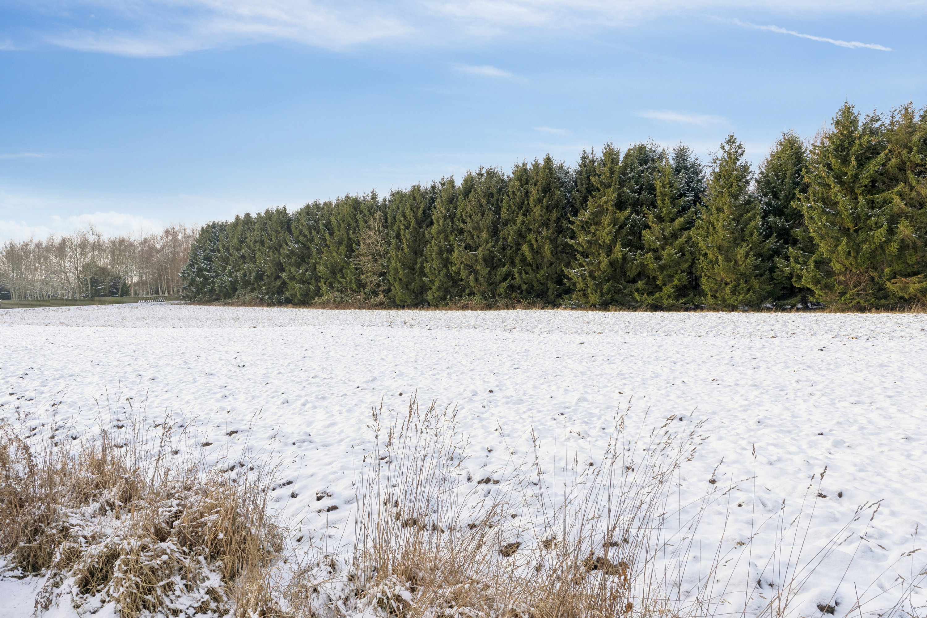 Fremhævet omgivelser billede i fuldskærmstilstand. Billede af Terslev Overdrevsvej 8, 4690 Haslev
