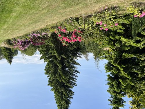 Fremhævet  billede i fuldskærmstilstand. Billede af Udmarken 6, 4400 Kalundborg