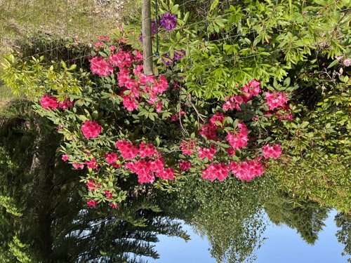 Fremhævet  billede i fuldskærmstilstand. Billede af Udmarken 6, 4400 Kalundborg