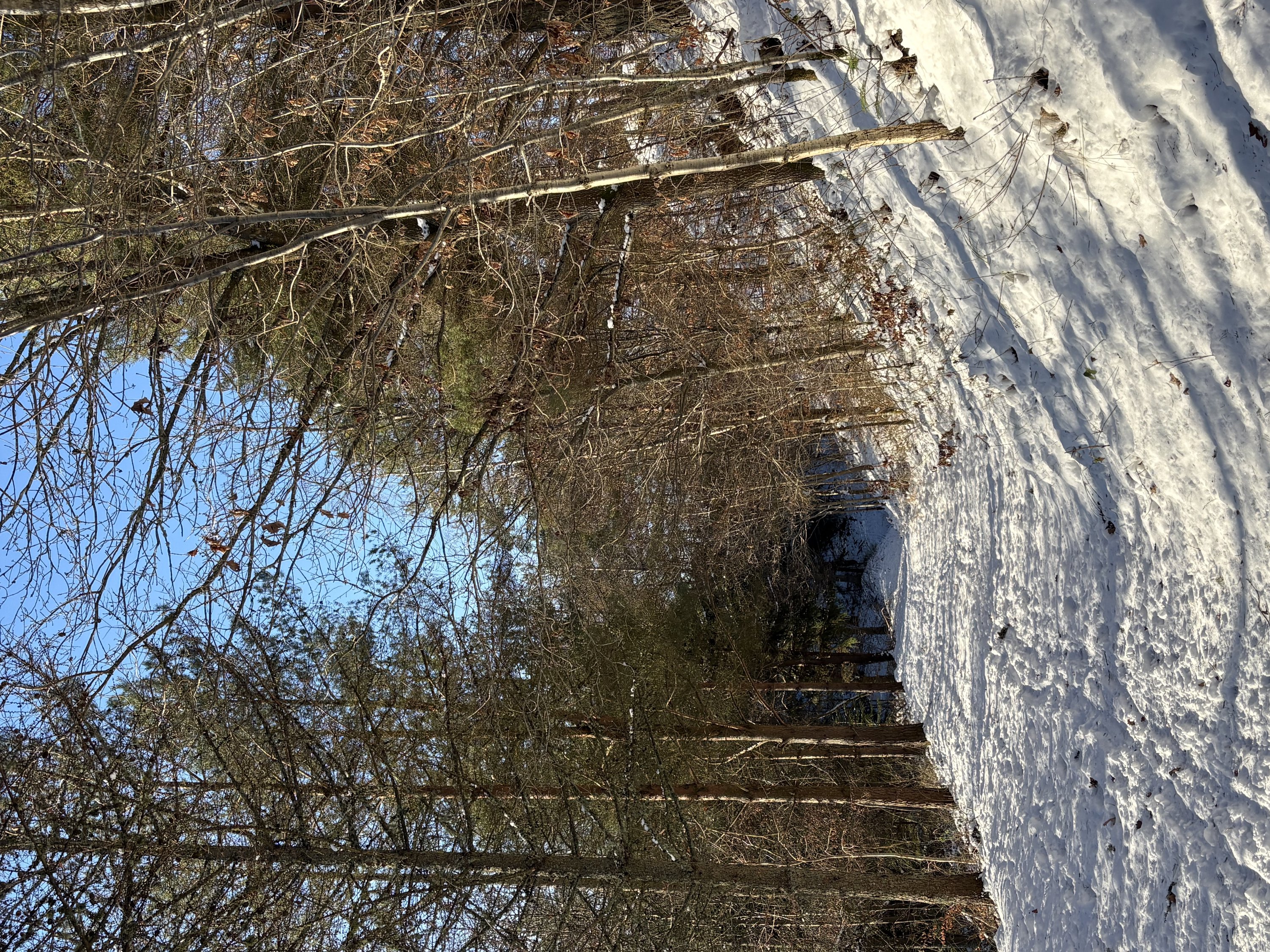 Fremhævet vinterbillede billede i fuldskærmstilstand. Billede af Holmekollen 8, Voervadsbro, 8660 Skanderborg