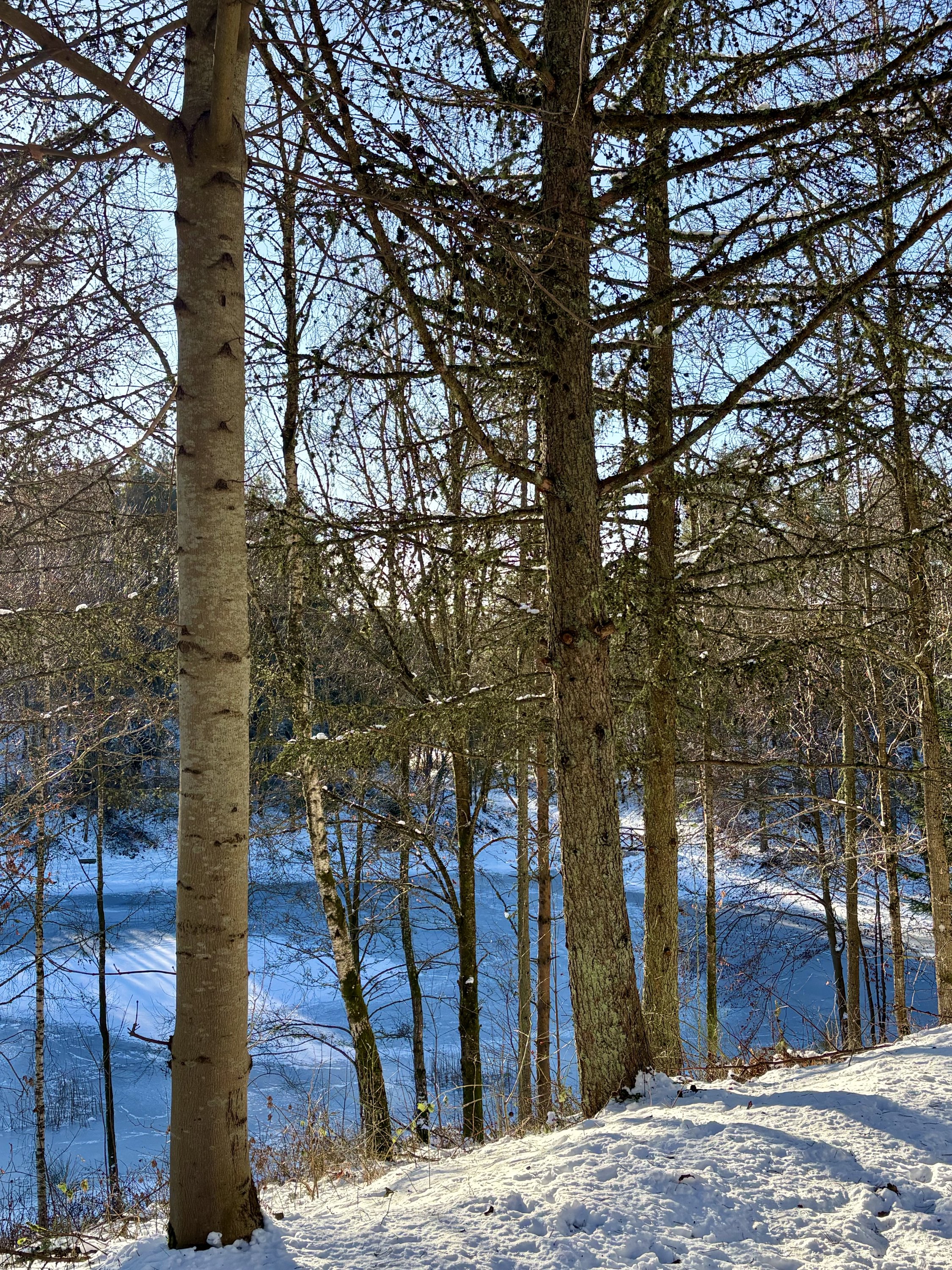 Fremhævet vinterbillede billede i fuldskærmstilstand. Billede af Holmekollen 8, Voervadsbro, 8660 Skanderborg