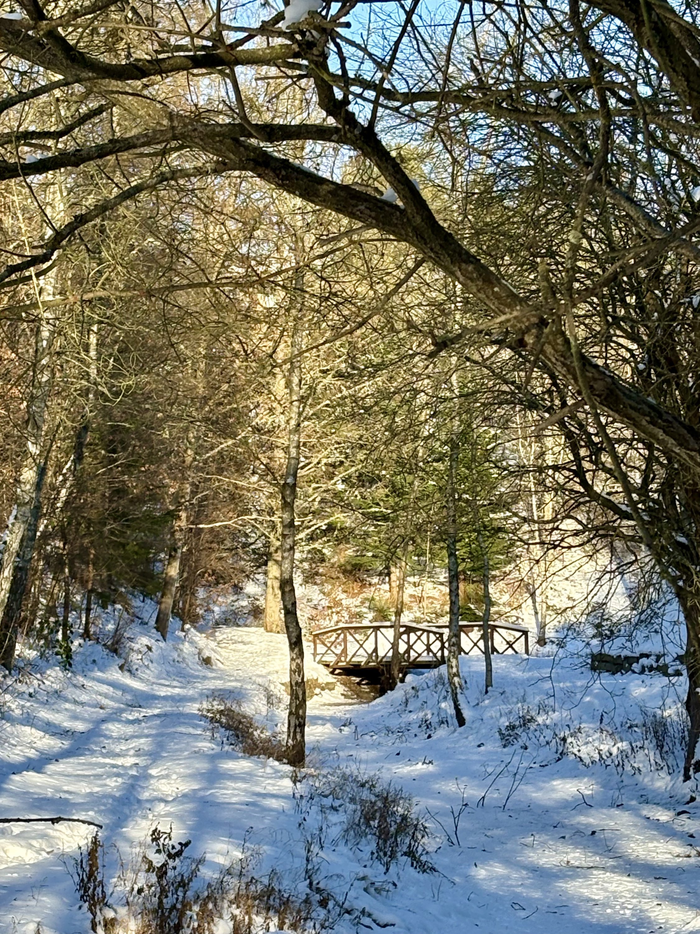 Fremhævet  billede i fuldskærmstilstand. Billede af Holmekollen 8, Voervadsbro, 8660 Skanderborg