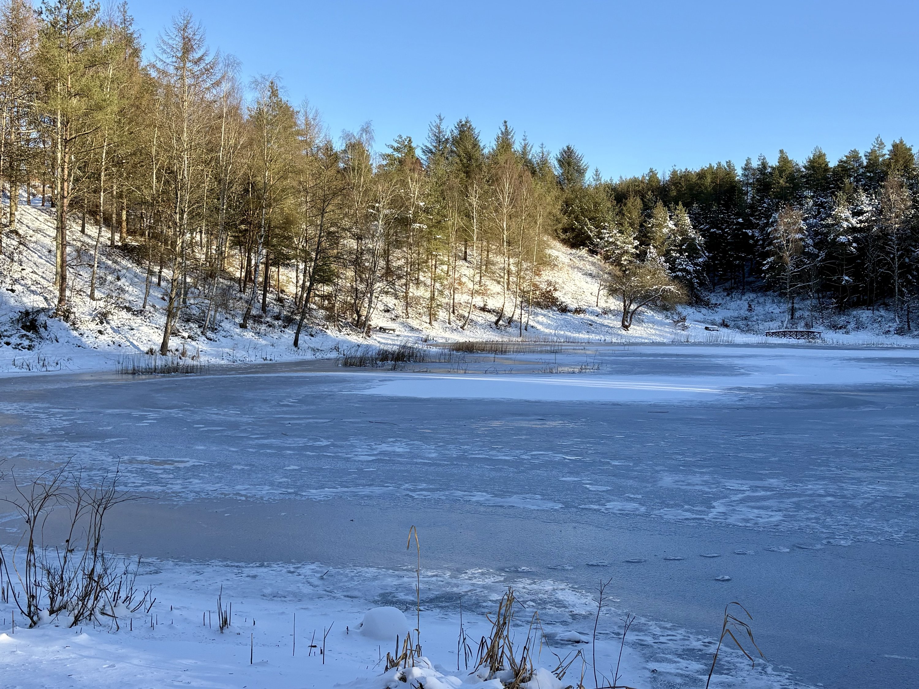Fremhævet vinterbillede billede i fuldskærmstilstand. Billede af Holmekollen 8, Voervadsbro, 8660 Skanderborg